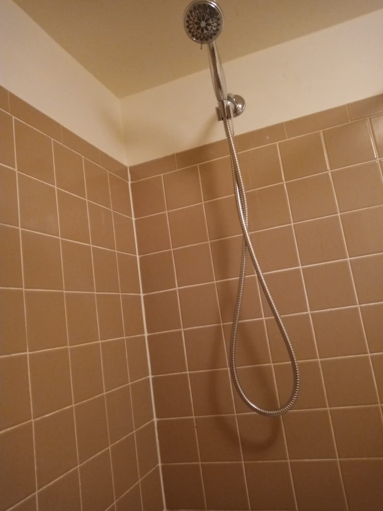 Delta Faucet 7-Spray Touch-Clean Hand Held Shower Head with Hose, Chrome 75700 customer photo 1