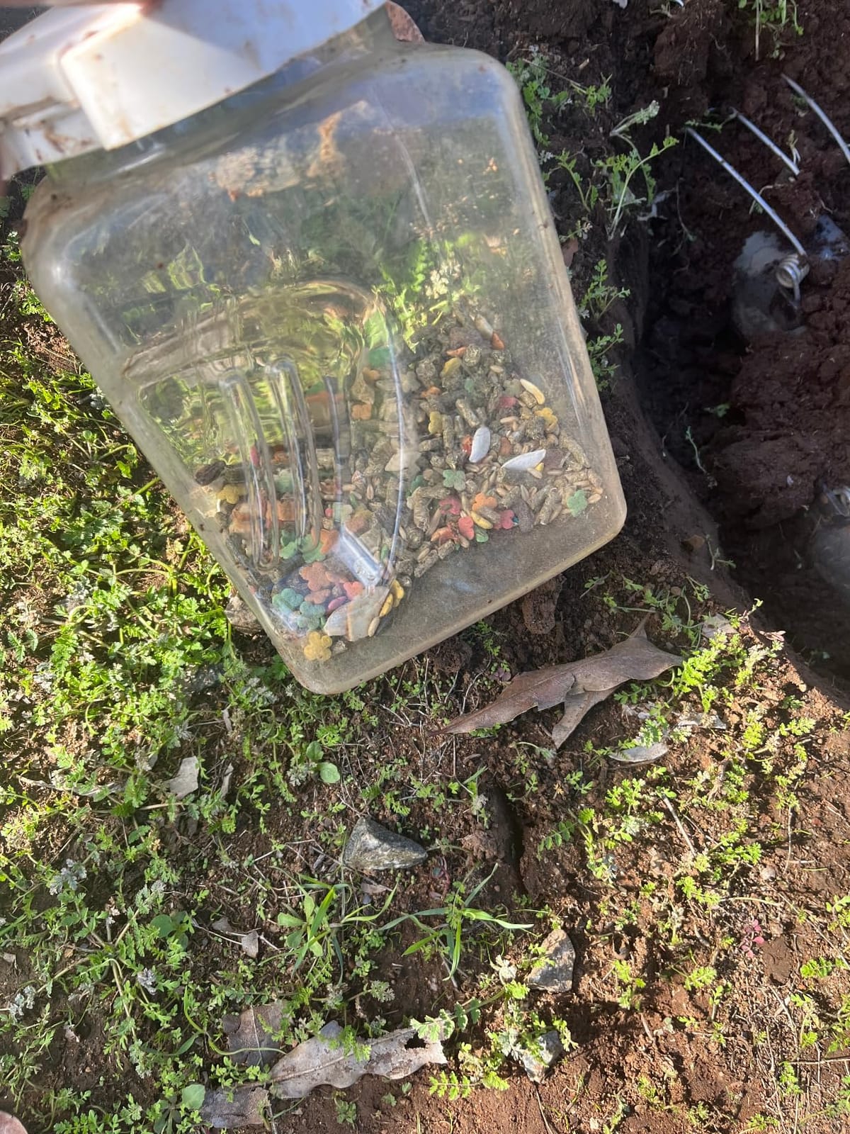 Blackhole Trap - The Original Blackhole Mole, Rodent & Gopher Trap, Spring Loaded, Easy to Use, Reusable Dark Trap Hole for Eliminating Pests in All Yards customer photo 1