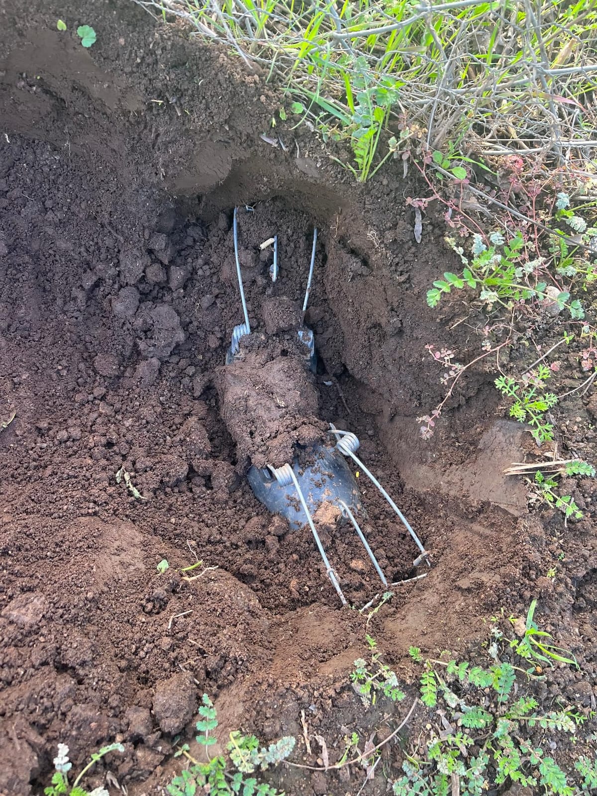 Blackhole Trap - The Original Blackhole Mole, Rodent & Gopher Trap, Spring Loaded, Easy to Use, Reusable Dark Trap Hole for Eliminating Pests in All Yards customer photo 2