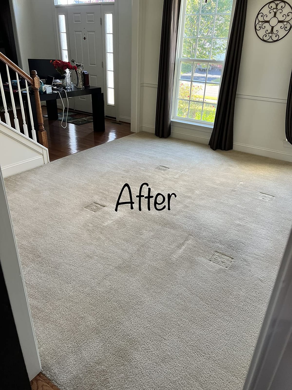 Adjustable Carpet Stretcher customer photo 1