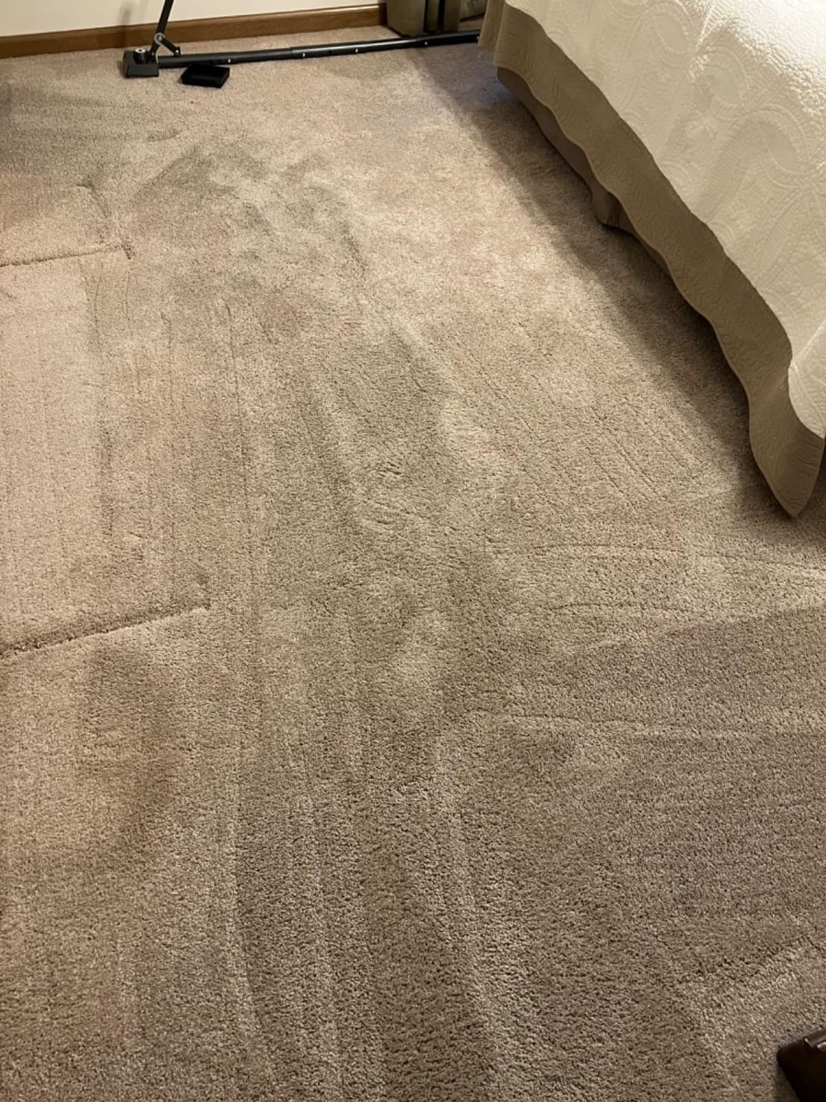 Adjustable Carpet Stretcher customer photo 2
