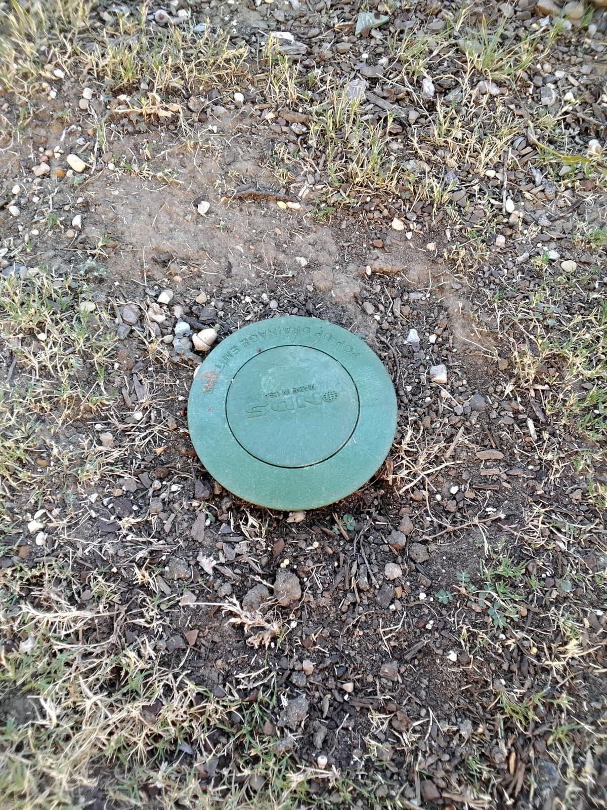 NDS 422G Pop-Up Drainage Emitter with Elbow fits 4-Inch Sewer and Drain Pipe, Works with Drainage Systems Including Catch Basins, Green customer photo 2