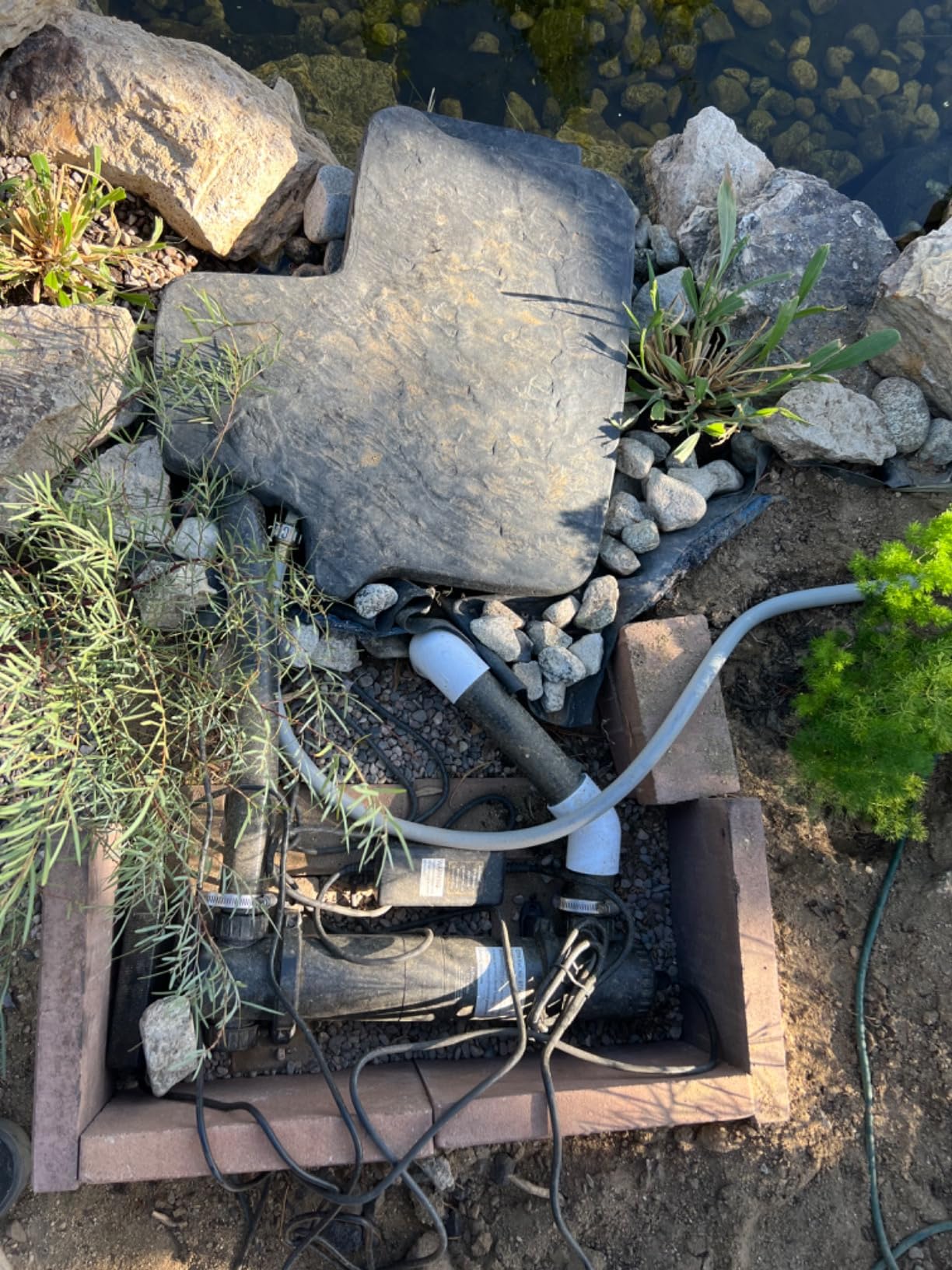 EasyPro PS6E Eco-Series Melody Pond Skimmer for Pump customer photo 1