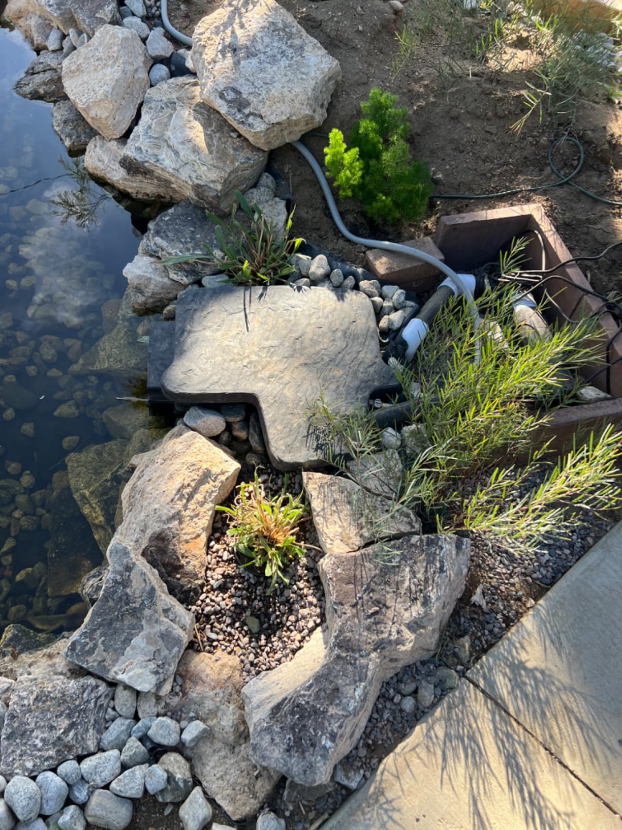 EasyPro PS6E Eco-Series Melody Pond Skimmer for Pump customer photo 2