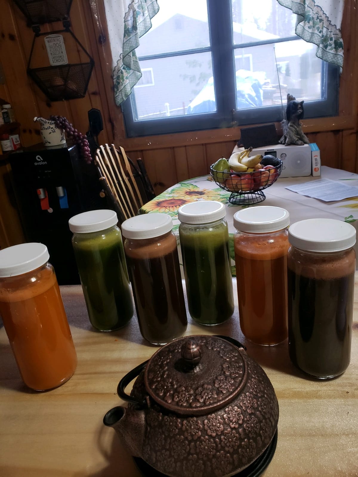 Tribest Greenstar GSE-5000 Elite Twin Gear Cold Press Slow Masticating Juicer (White) customer photo 1