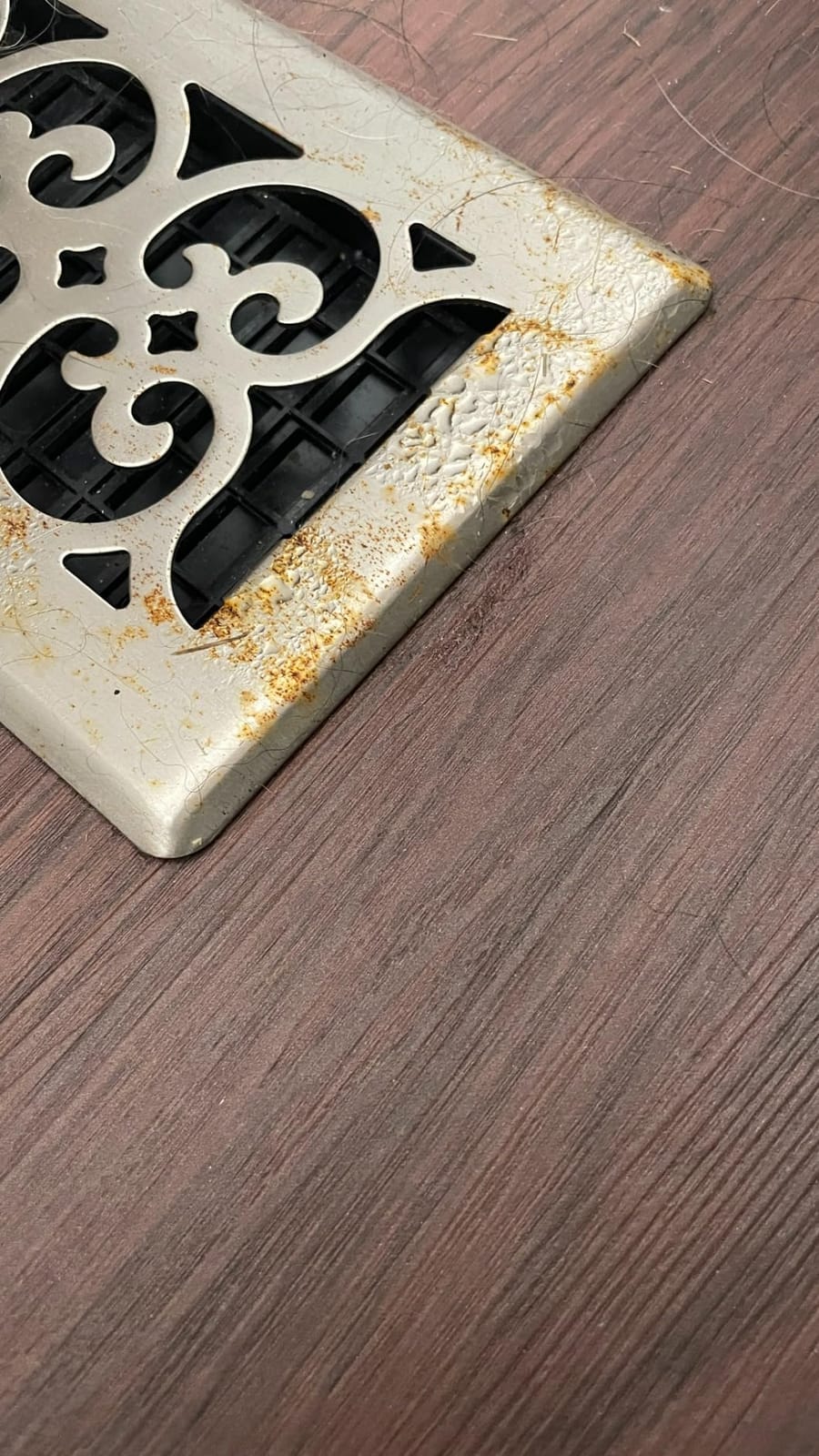 Decor Grates SPH412 Floor Register, 4x12, Polished Brass Finish customer photo 2