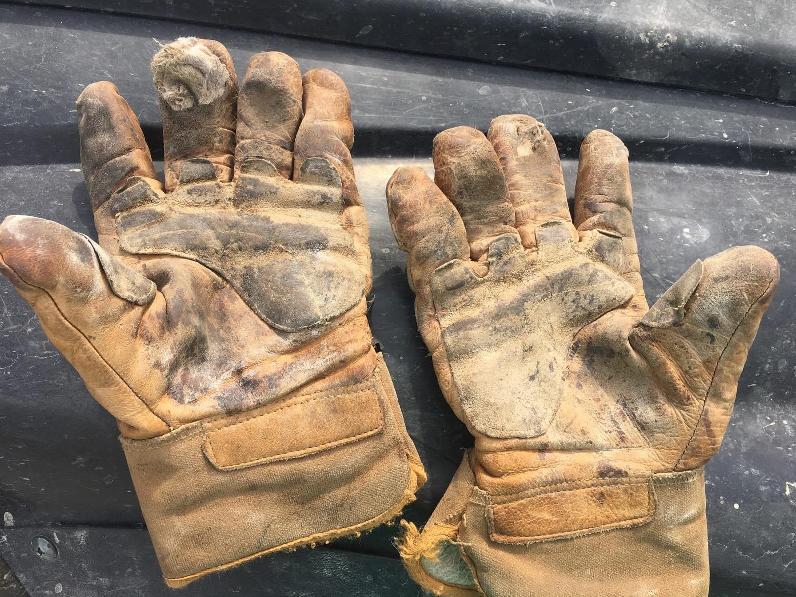 Carhartt Men's Insulated Duck Synthetic Leather Safety Cuff Glove customer photo 1