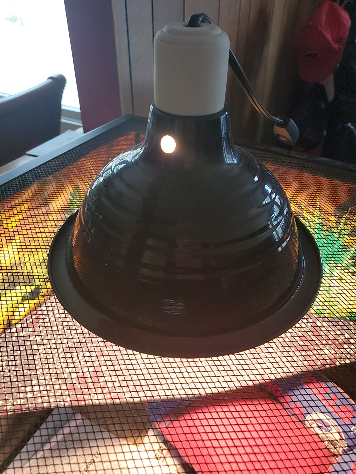 Zilla Premium Reflector Dome Reptile Heat Lamp Fixture, 8.5 Inches customer photo 2