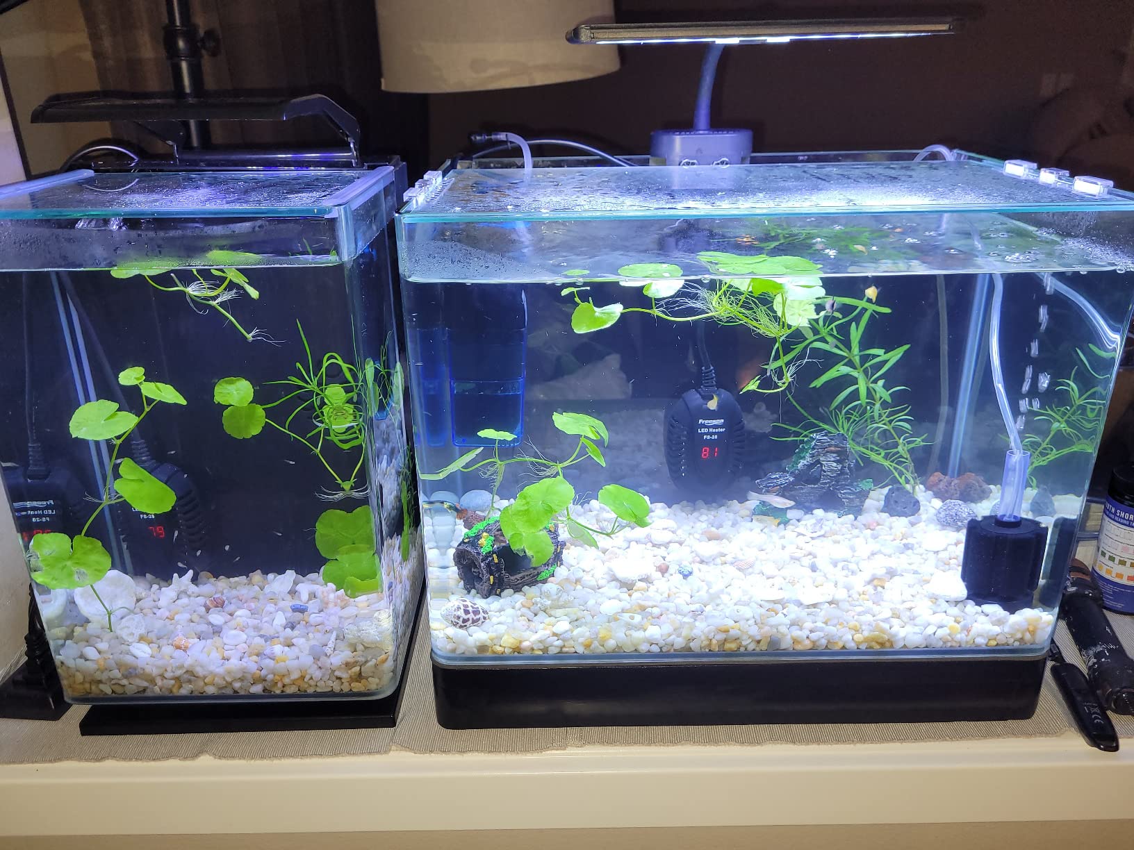 PENN-PLAX Water-World Radius Desktop Nano Aquarium Kit – Come with LED Light, Internal Filter, and Mat – Perfect for Shrimp and Small Fish – 5 Gallon Tank customer photo 1