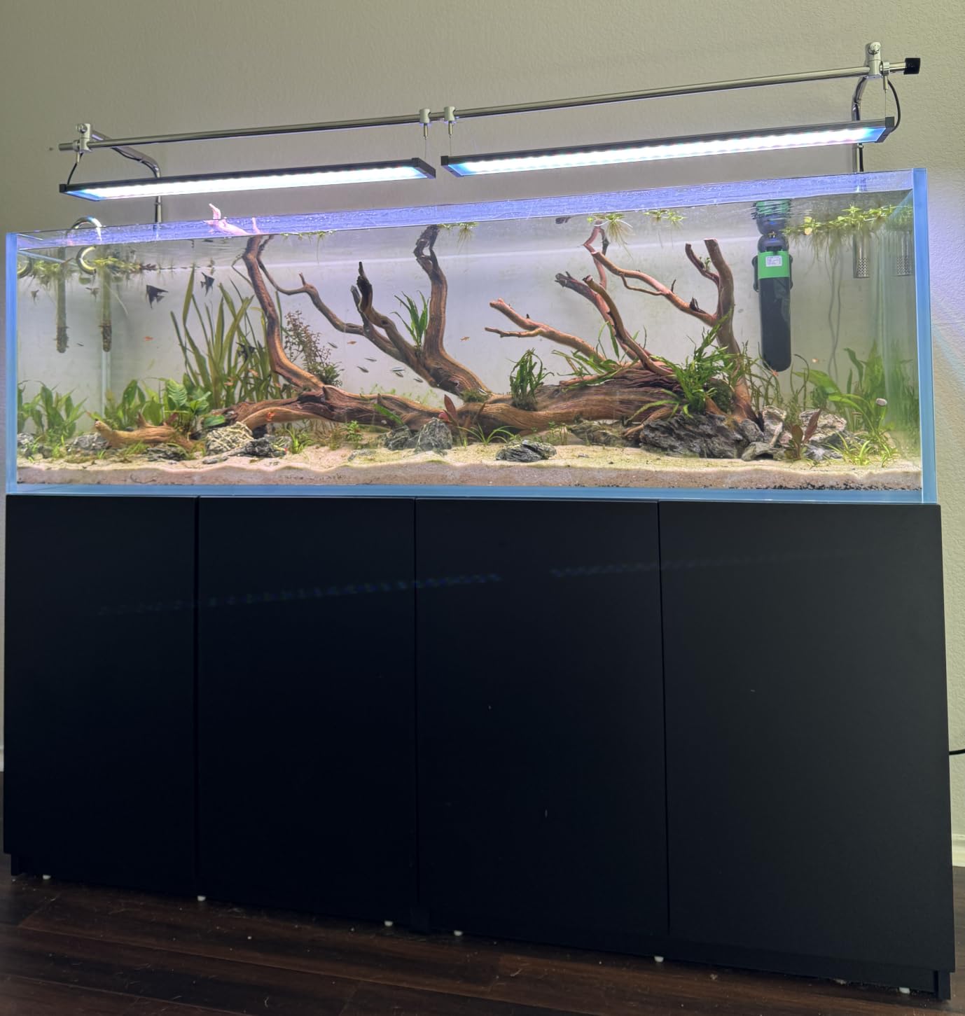 LANDEN Aquarium 60P 16 Gallon Ultra Clear Glass Rimless Fish Tank | 23.6x11.8x14.2in (60x30x36cm),6mm Low Iron Glass, leveling mat Included, Starter Freshwater Aquatic Plant Betta Turtle Tank customer photo 1