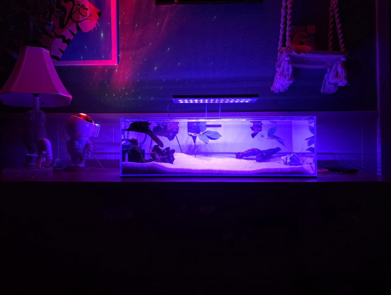 LANDEN Aquarium 60P 16 Gallon Ultra Clear Glass Rimless Fish Tank | 23.6x11.8x14.2in (60x30x36cm),6mm Low Iron Glass, leveling mat Included, Starter Freshwater Aquatic Plant Betta Turtle Tank customer photo 2