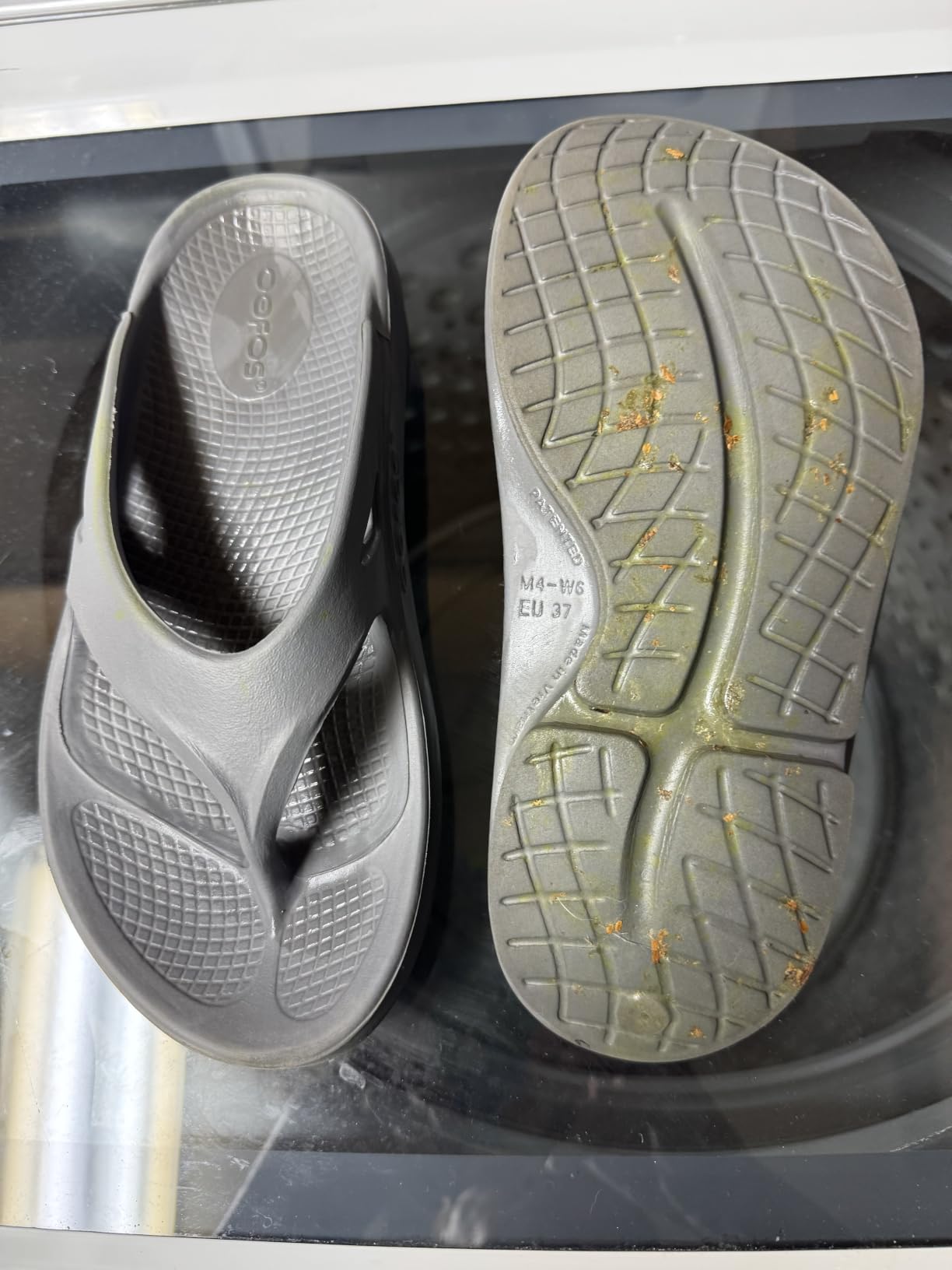 OOFOS OOriginal Recovery Sandal - Women’s and Men’s customer photo 2