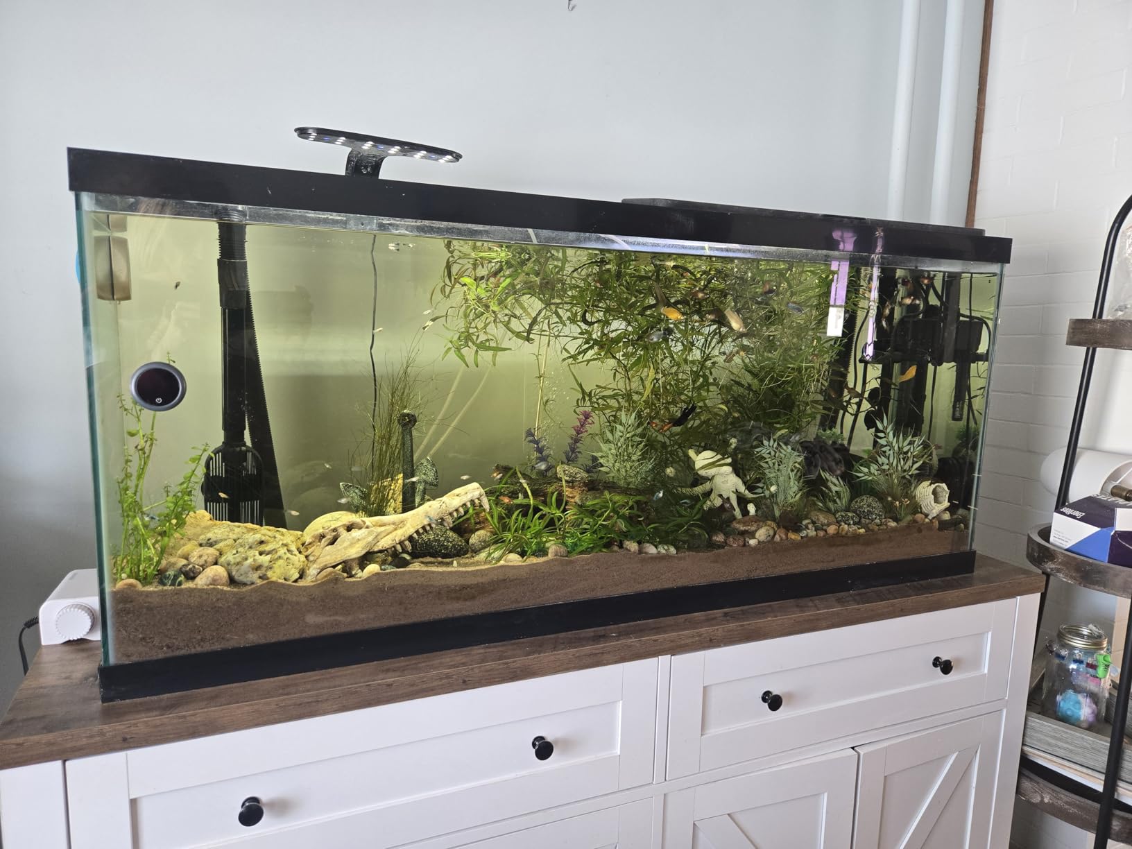 Fluval FX4 High Performance Aquarium Filter, up to 250 Gal. | Canister Filter for Aquariums customer photo 2
