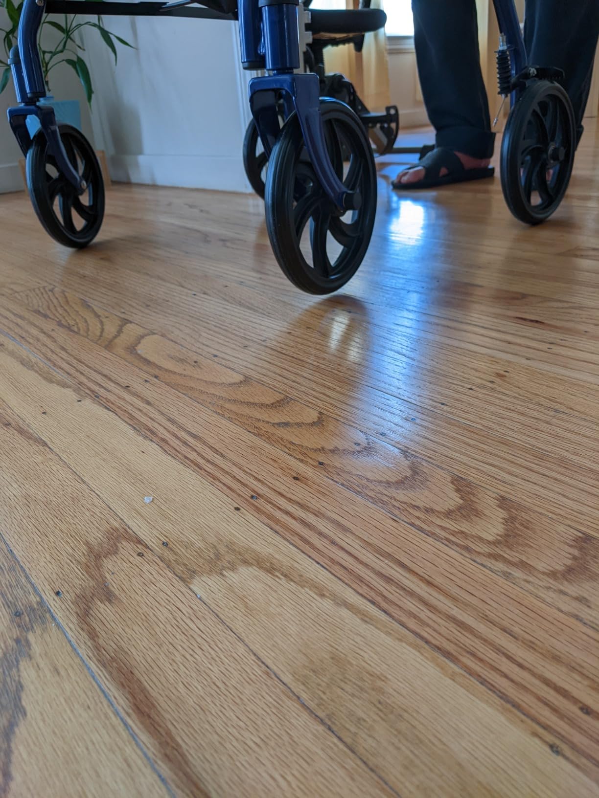 Drive Medical Rollator Walker with Seat, 7.5 Inch Wheels, Blue customer photo 1