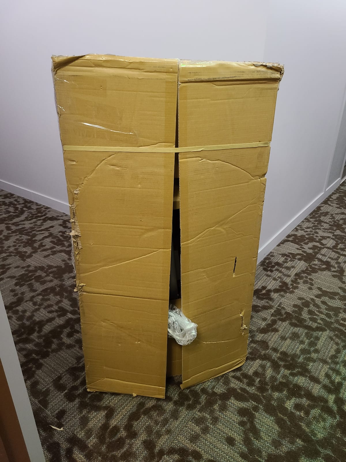 Joerns Hoyer Advance Electric Portable Patient Lift - Foldable Lightweight 70 lbs, 340 lb Capacity, Battery Powered for Home Care, Nursing & Professional Use- E340 customer photo 2