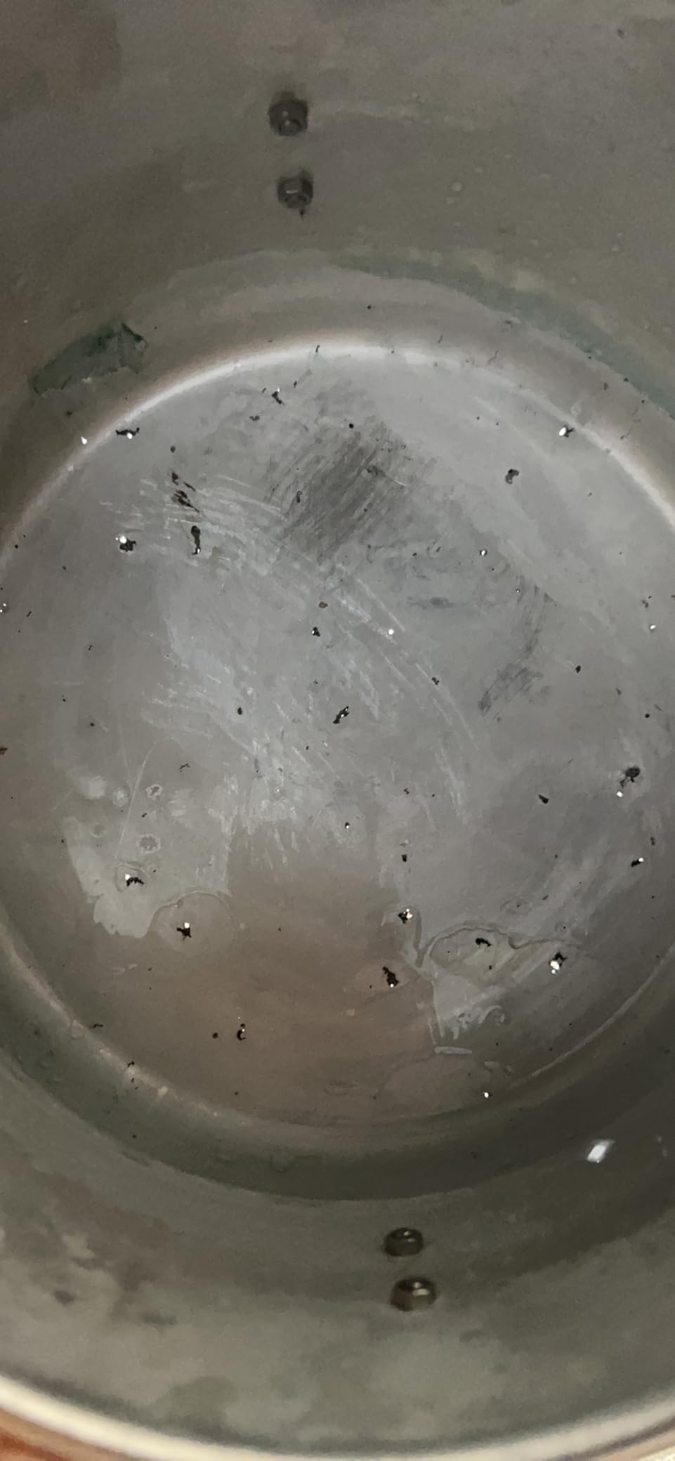 Silver Bullet Cold Fogger Triple Jet Mosquito Insect Control (Corded) customer photo 2