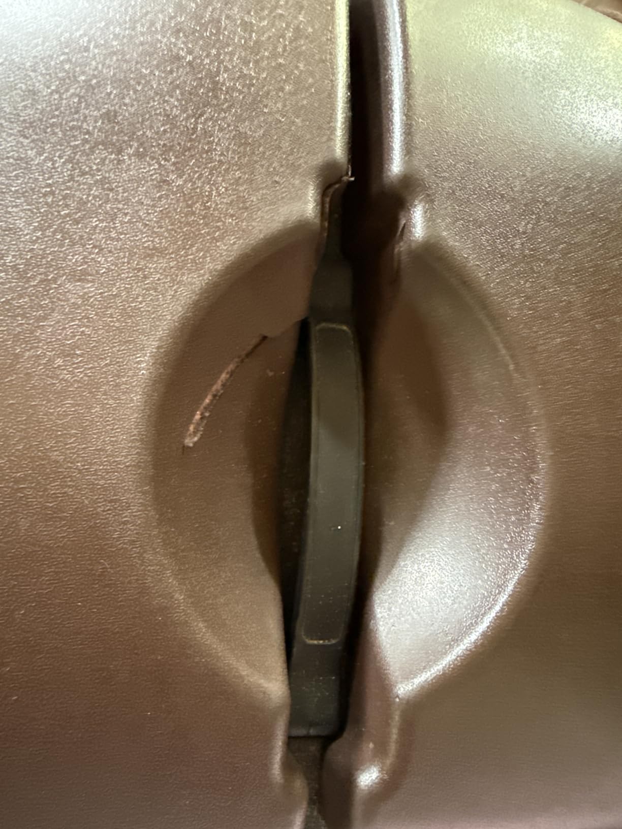 Drive Medical Nitro DLX Foldable Rollator Walker, 10 Inch Wheels, Champagne customer photo 2