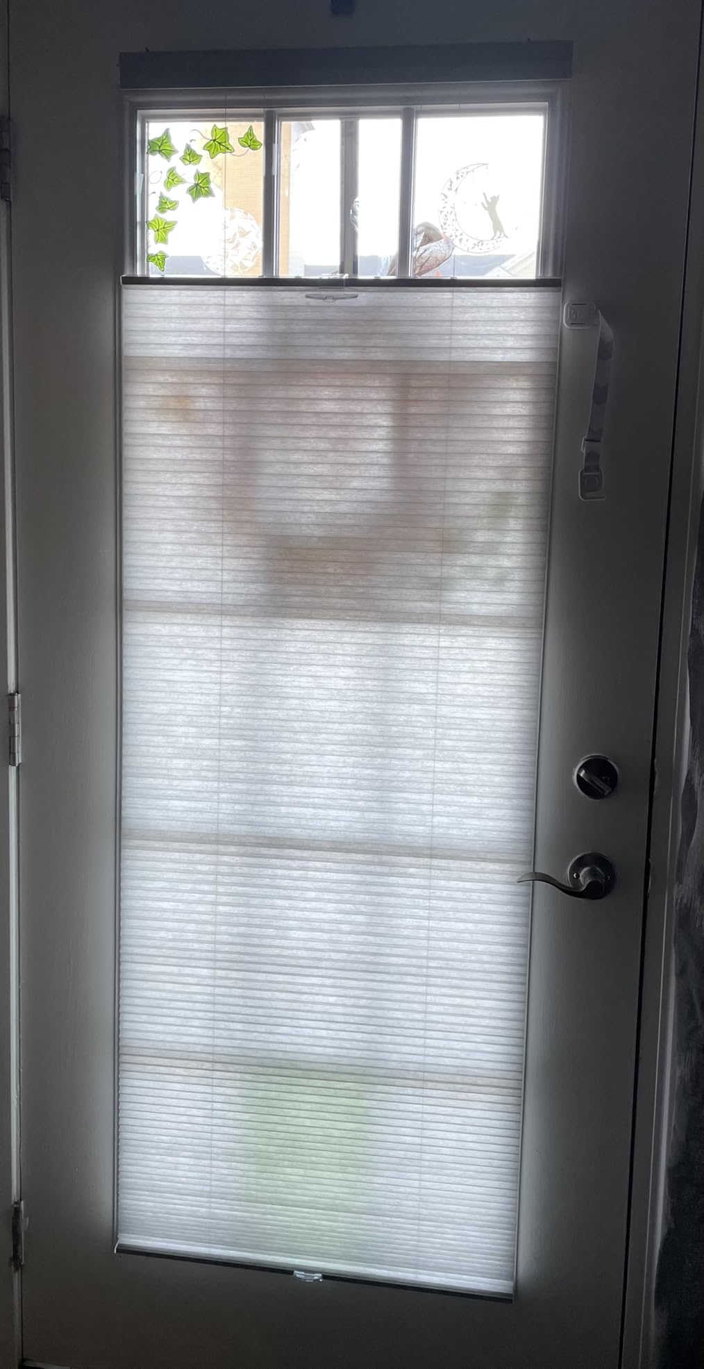 Cordless Cellular Pleated Shades, 35 x 64 in, White, Light Filtering customer photo 1