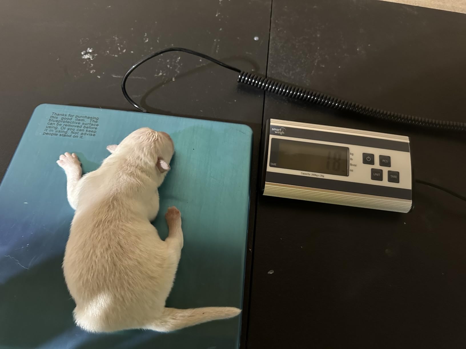Smart Weigh Shipping Scale Digital Postal Scale for Packages 440lbs x 6 oz customer photo 1