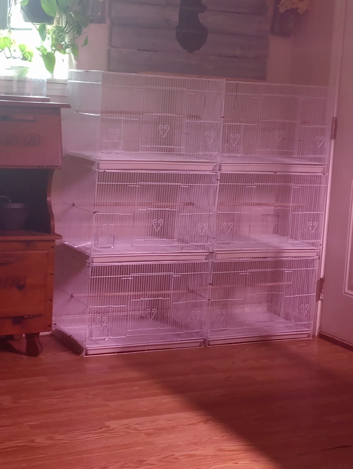 Small Breeding Cages, Pack of 6, 24 x 16 x 16 H inches, White customer photo 1