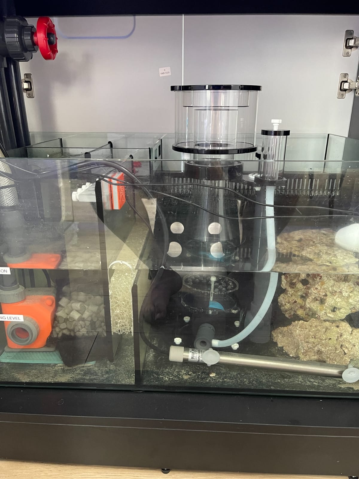 Simplicity 240DC Protein Skimmer for Saltwater Aquariums customer photo 1
