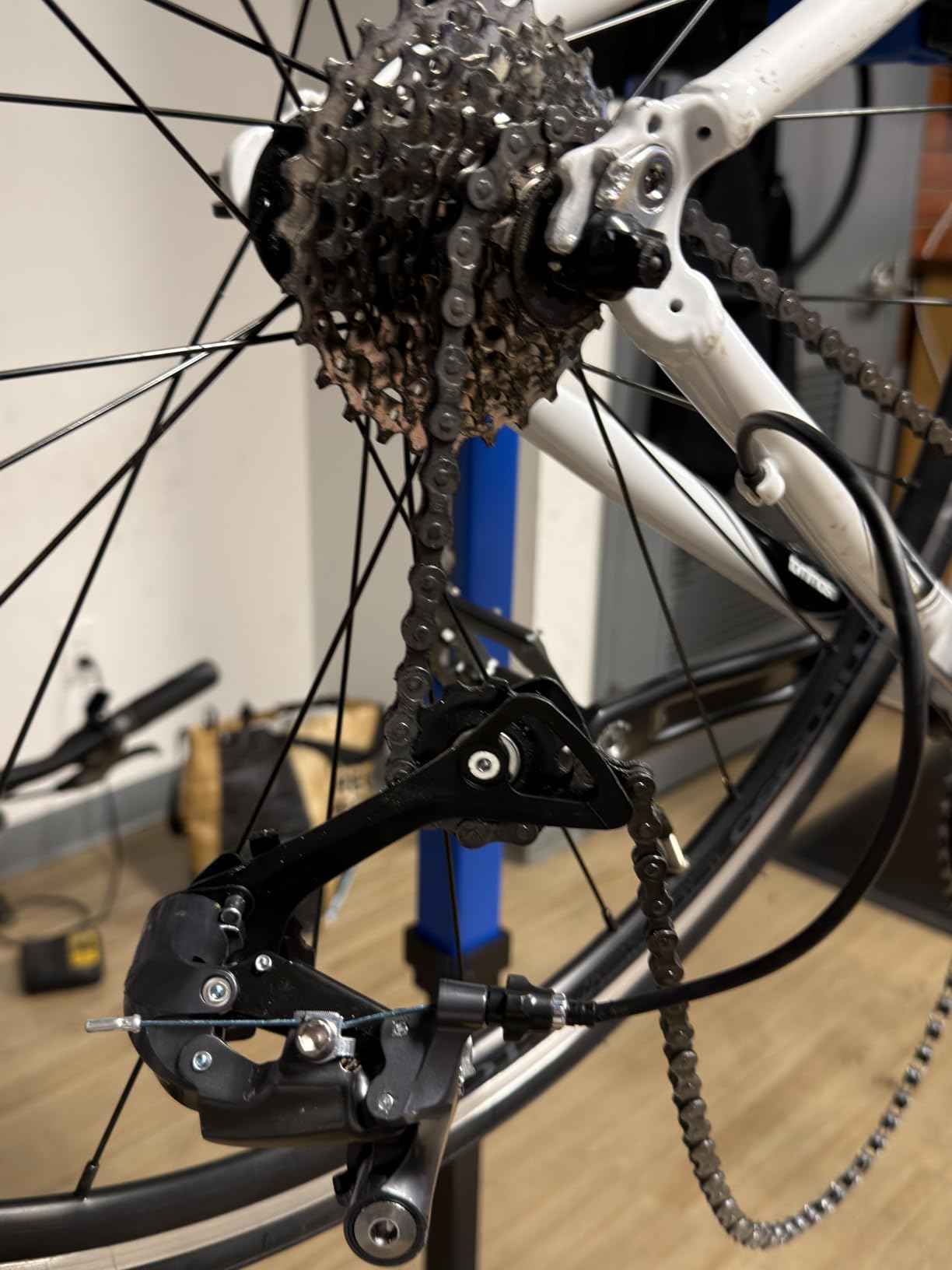 Tommaso Imola - Sport Bike Performance Aluminum Road Bike, Shimano Claris 24 Speeds Road Bicycle Men Road Bikes for Mens customer photo 2