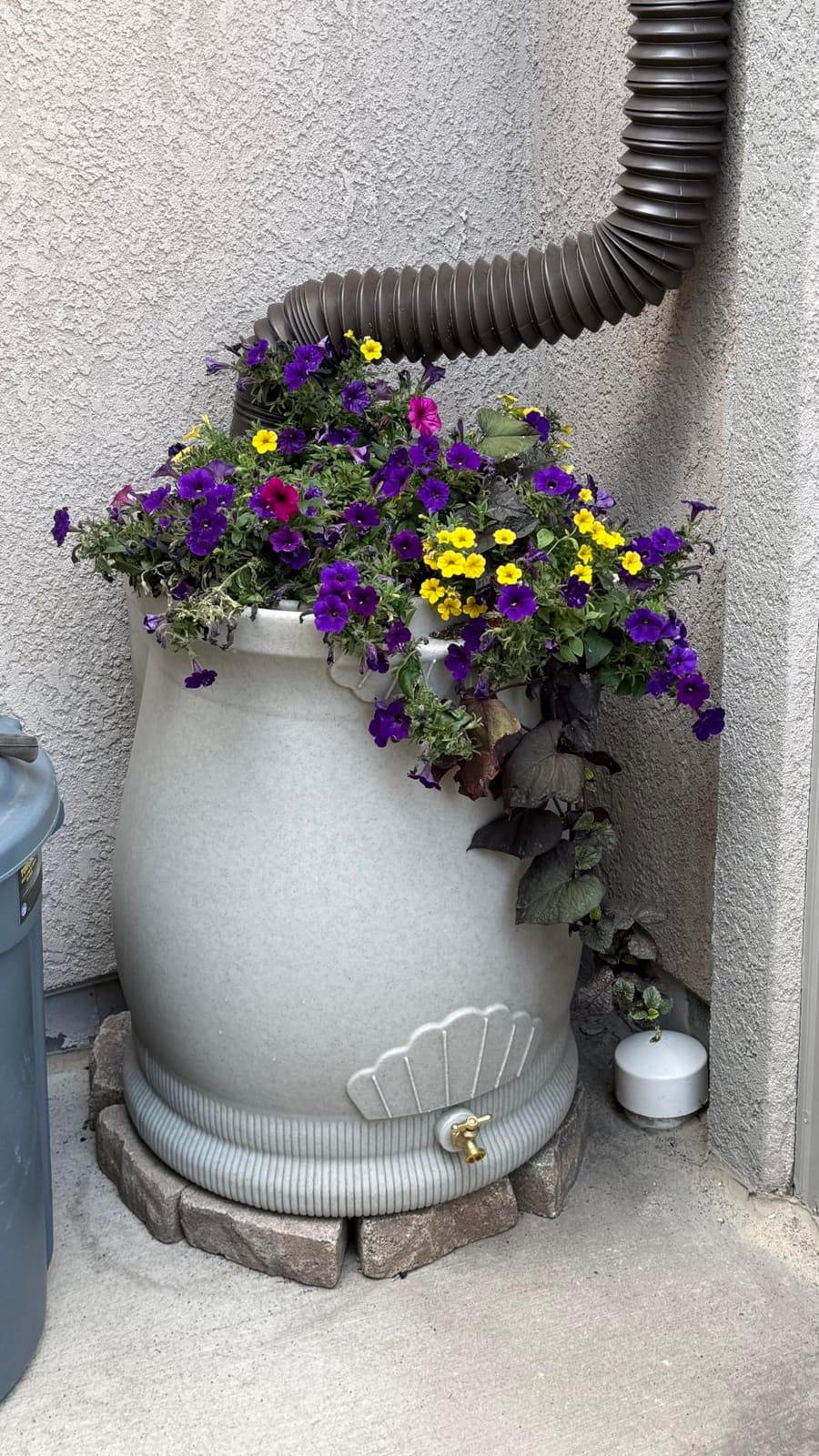 Good Ideas Rain Wizard Urn Shaped Water Collection Barrel, 50 Gallon customer photo 2
