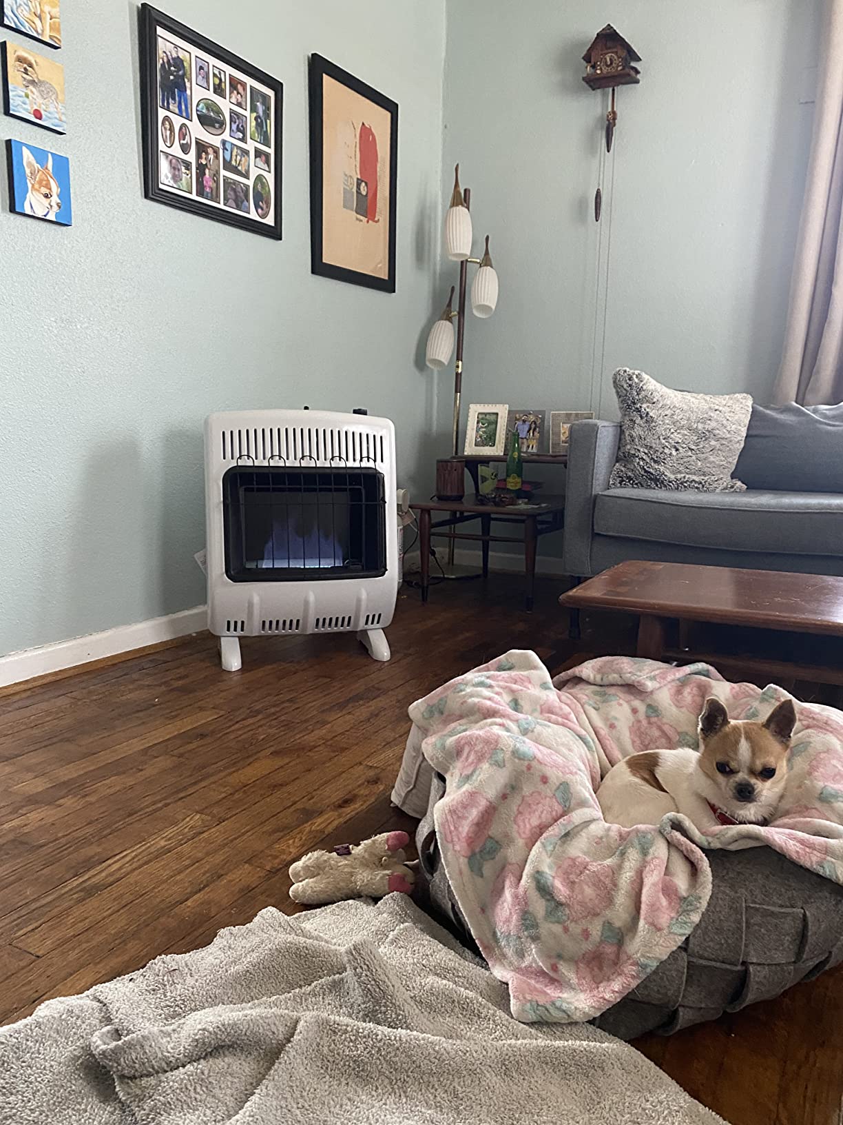 Mr. Heater 20,000 BTU Vent Free Blue Flame Propane Heater customer photo 1