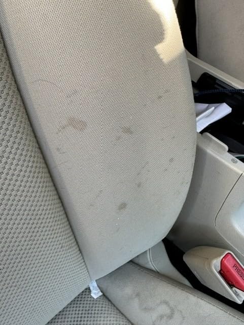 Chemical Guys, Induro 7 Heavy Duty Car Carpet & Upholstery Detailing Brush customer photo 1