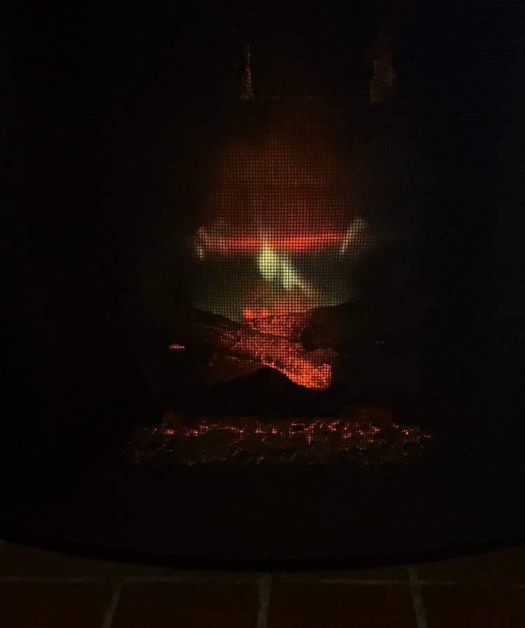 Dimplex Revillusion Electric Fireplace Log Insert - 20 Inch Faux Wooden Logs, Plug in Electric Heater; Remote Control Included - Supplemental Zone Heat | Model #RLG20 customer photo 2