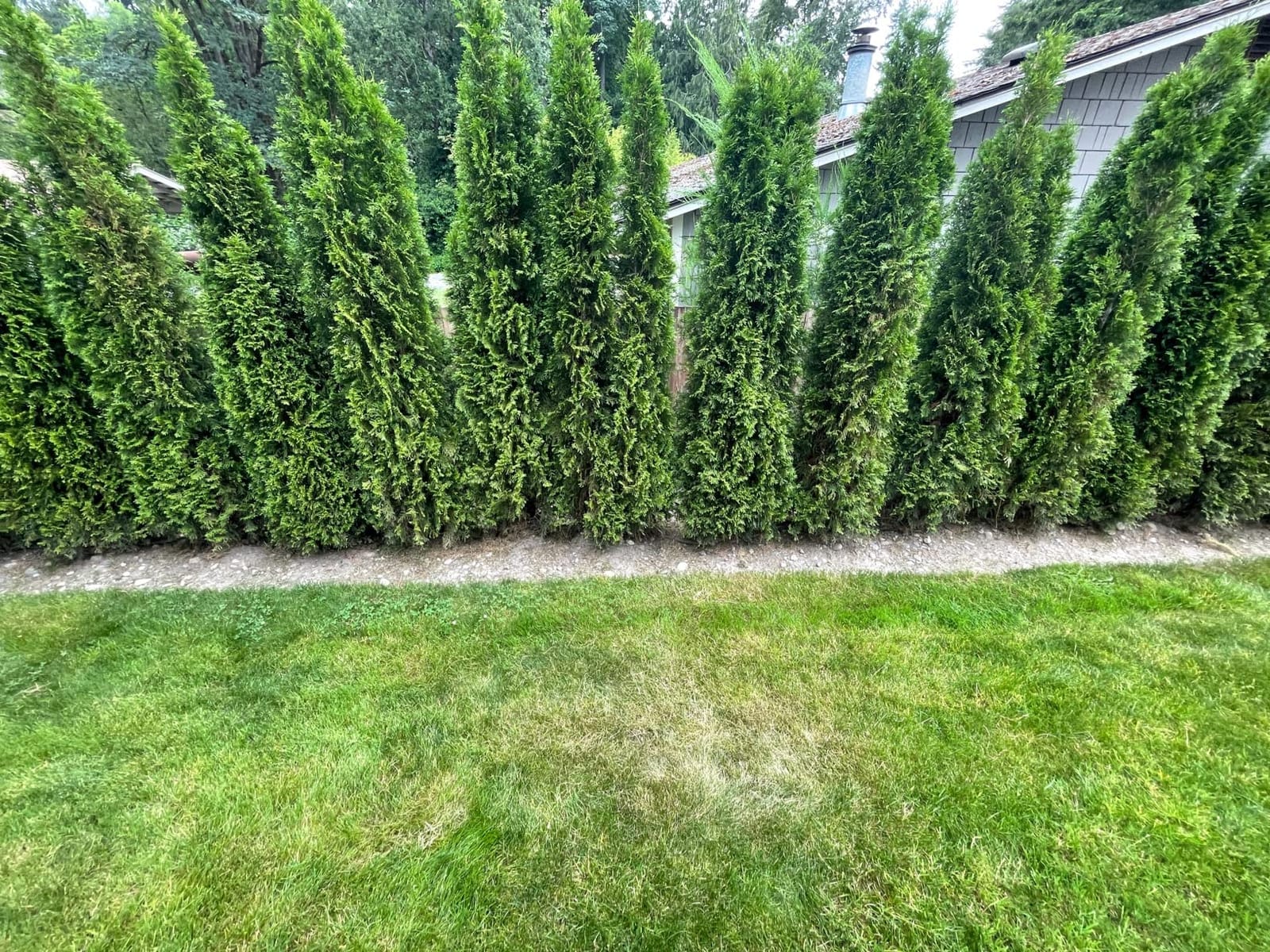 EasyFlex Heavy Duty No-Dig Edging Kit - 100ft., Black customer photo 1