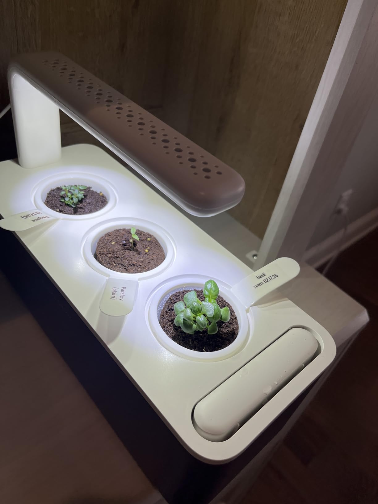 Click & Grow Indoor Herb Garden Kit with Grow Light | Smart Garden for Home Kitchen Windowsill | Easier Than Hydroponics Growing System | Vegetable Gardening Starter (3 Basil Pods Included), White customer photo 2