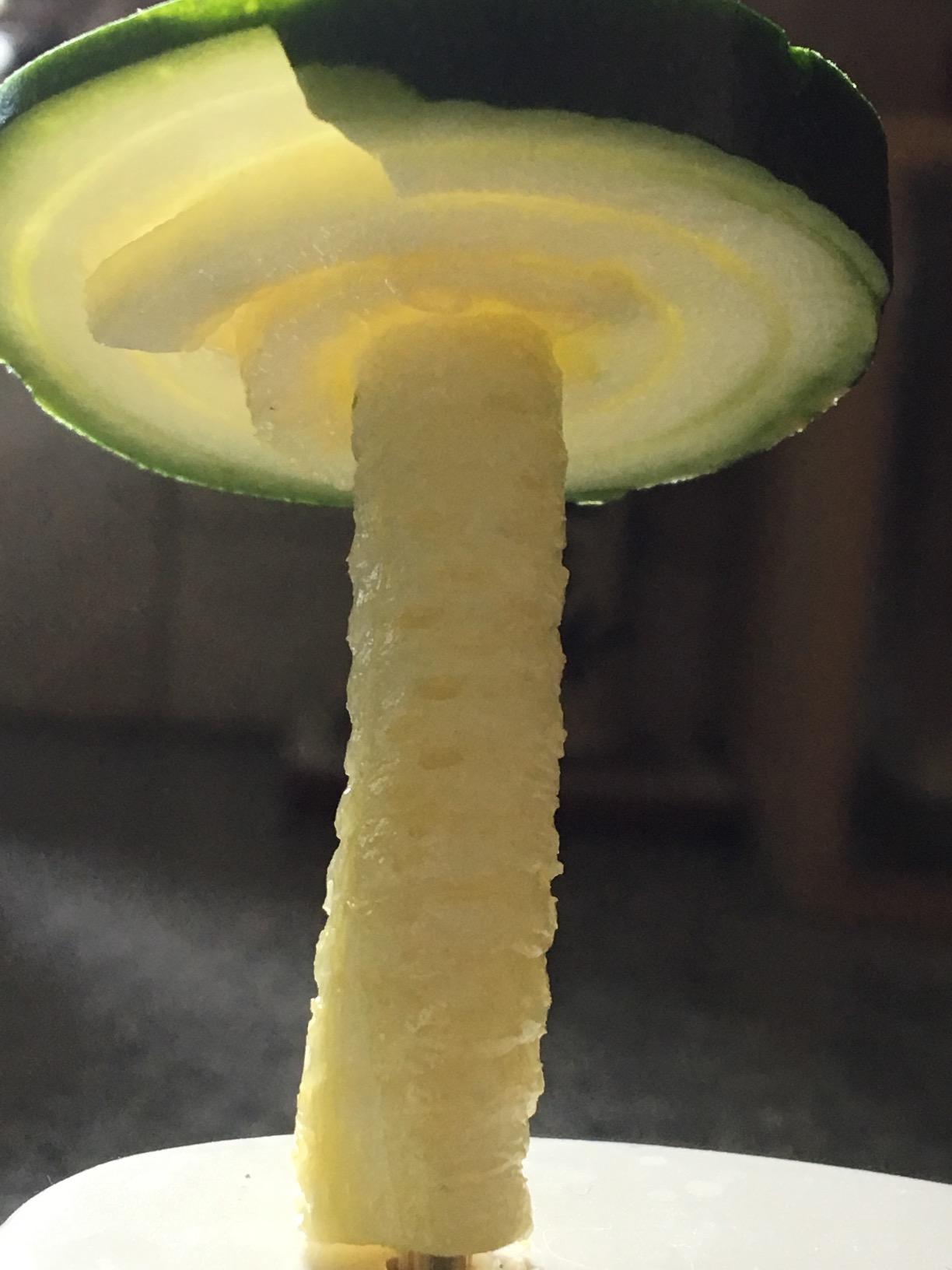 Joseph Joseph Spiro Hand Held Vegetable Slicer Spiralizer, Spaghetti Zoodle Zucchini Noodle Food Maker, Dishwasher safe - Green customer photo 1