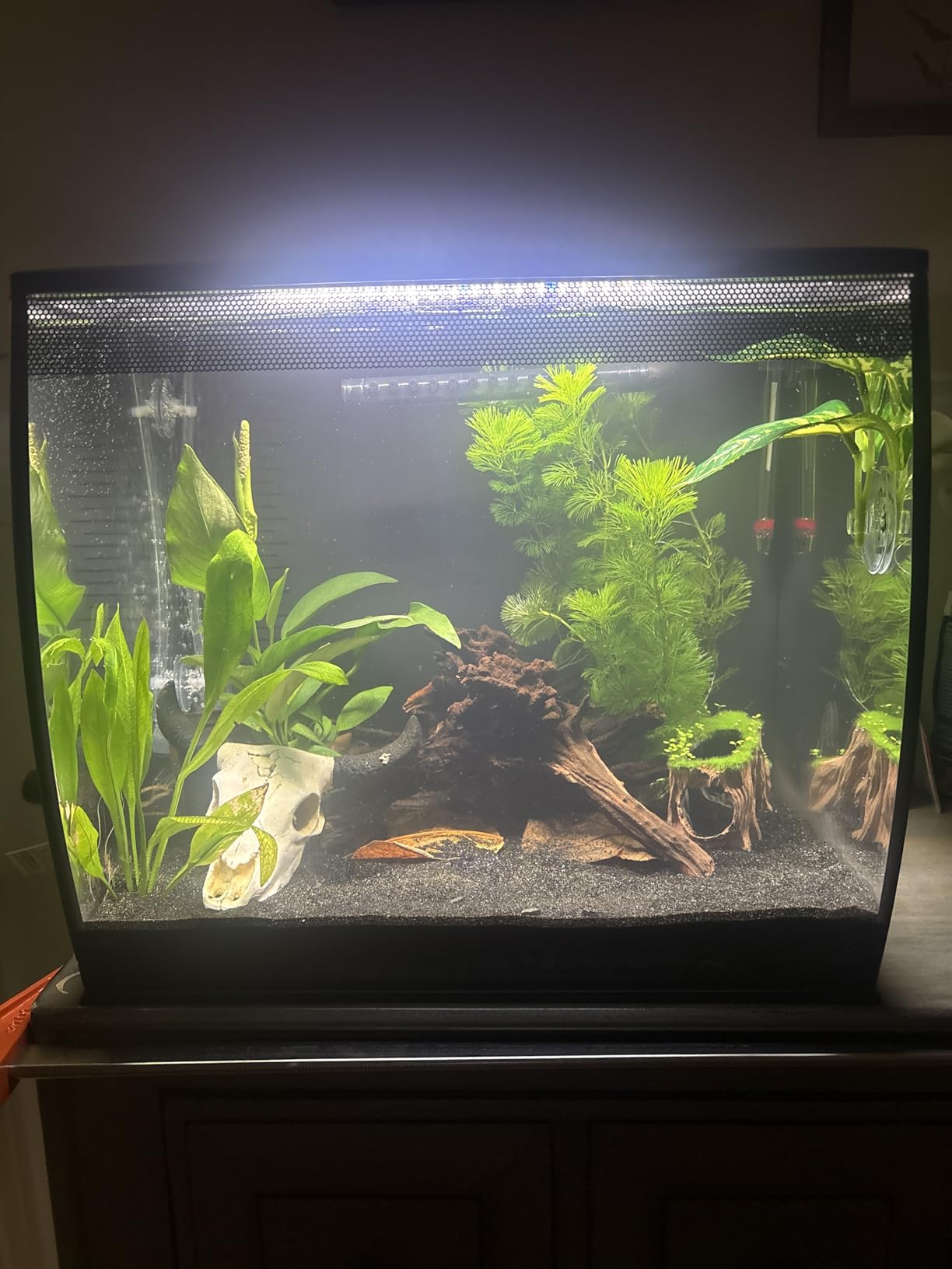 Fluval Flex 57 - 15 Gallon Nano Glass Aquarium Kit customer photo 2
