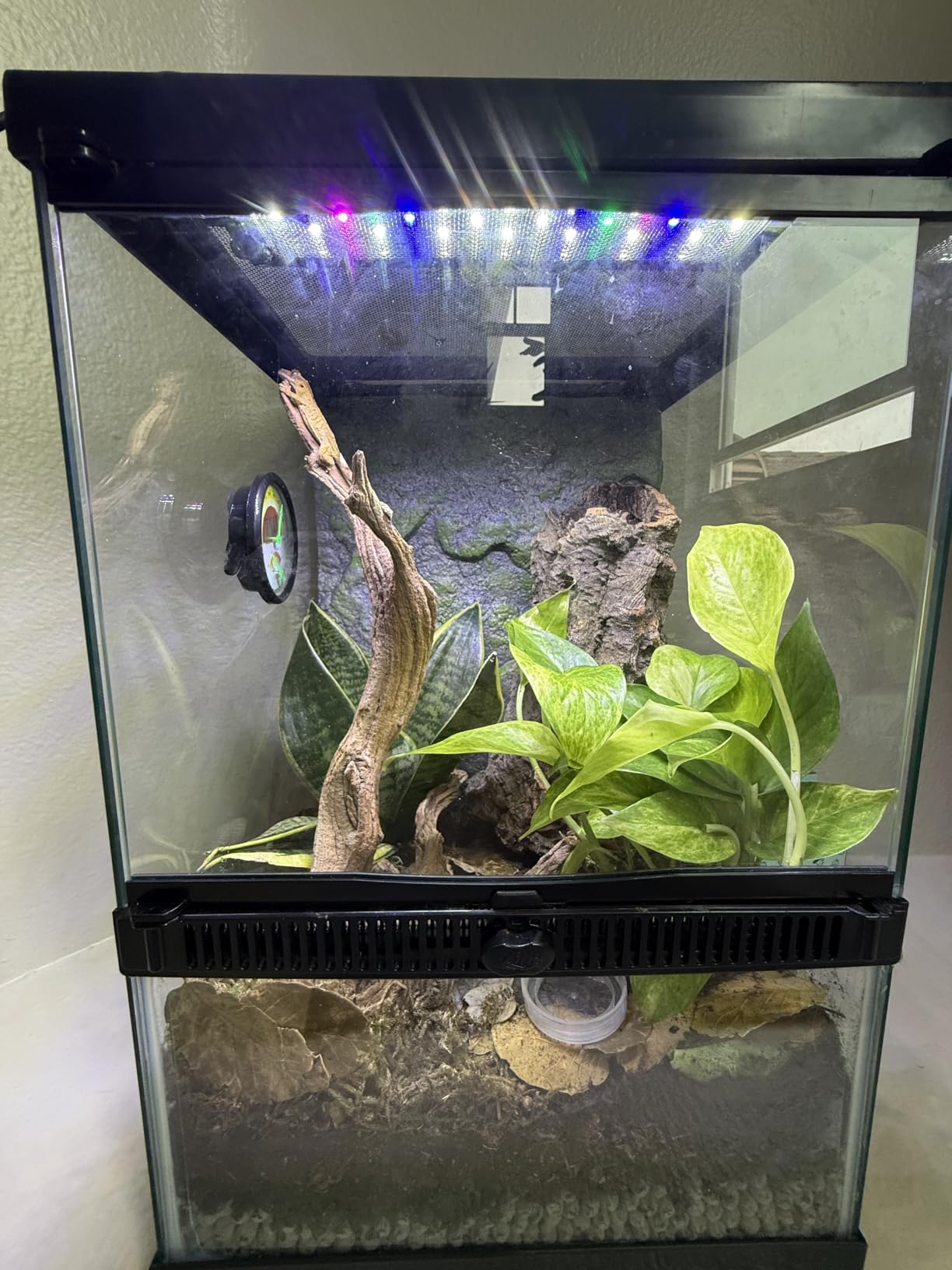 Zilla 11 Gallon Glass Tropical Vertical Terrarium Kit customer photo 1