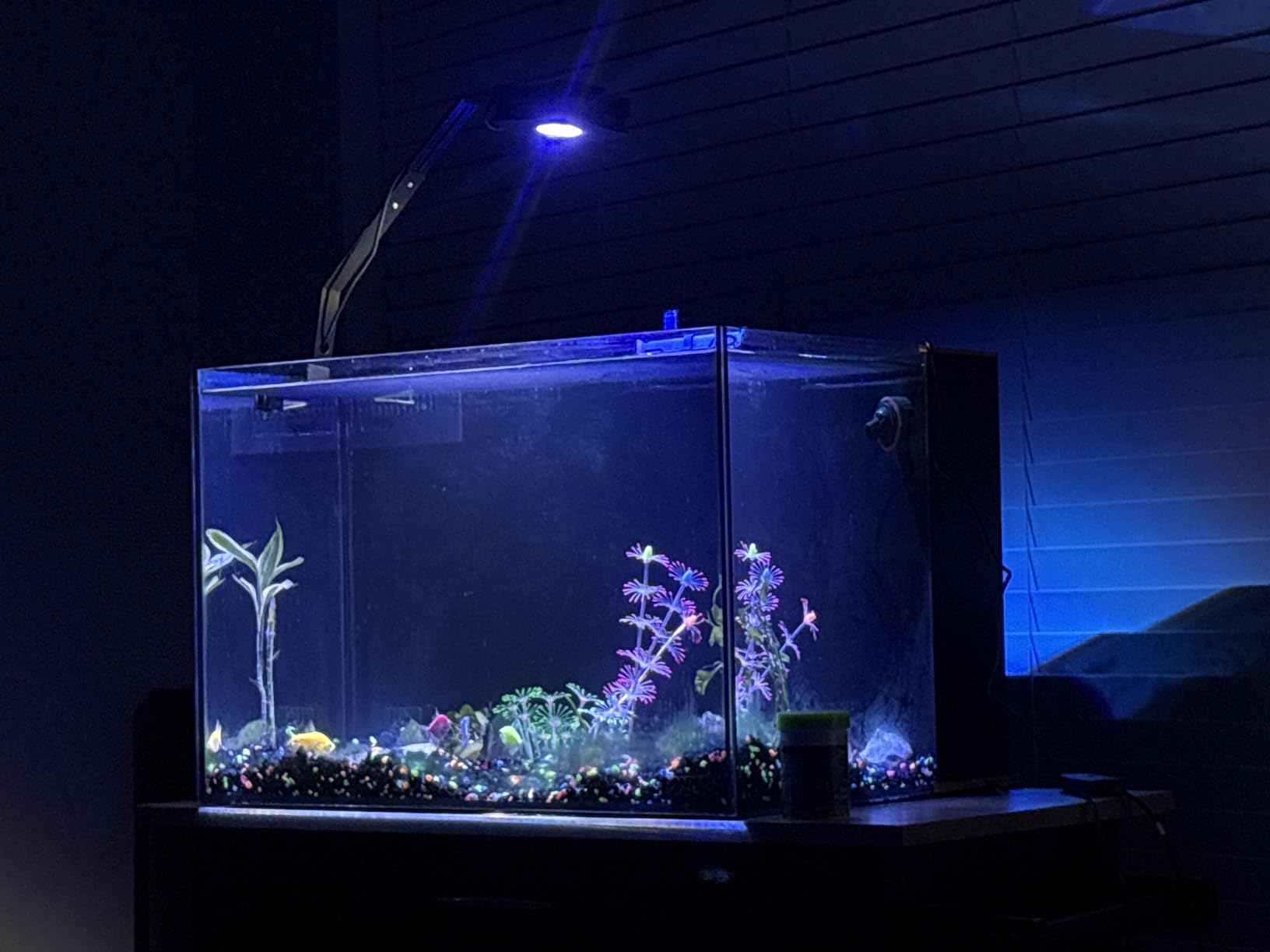LANDEN EzFlux 60 Rimless 26 Gallon Rear Filtration Tank, Pump Included customer photo 1