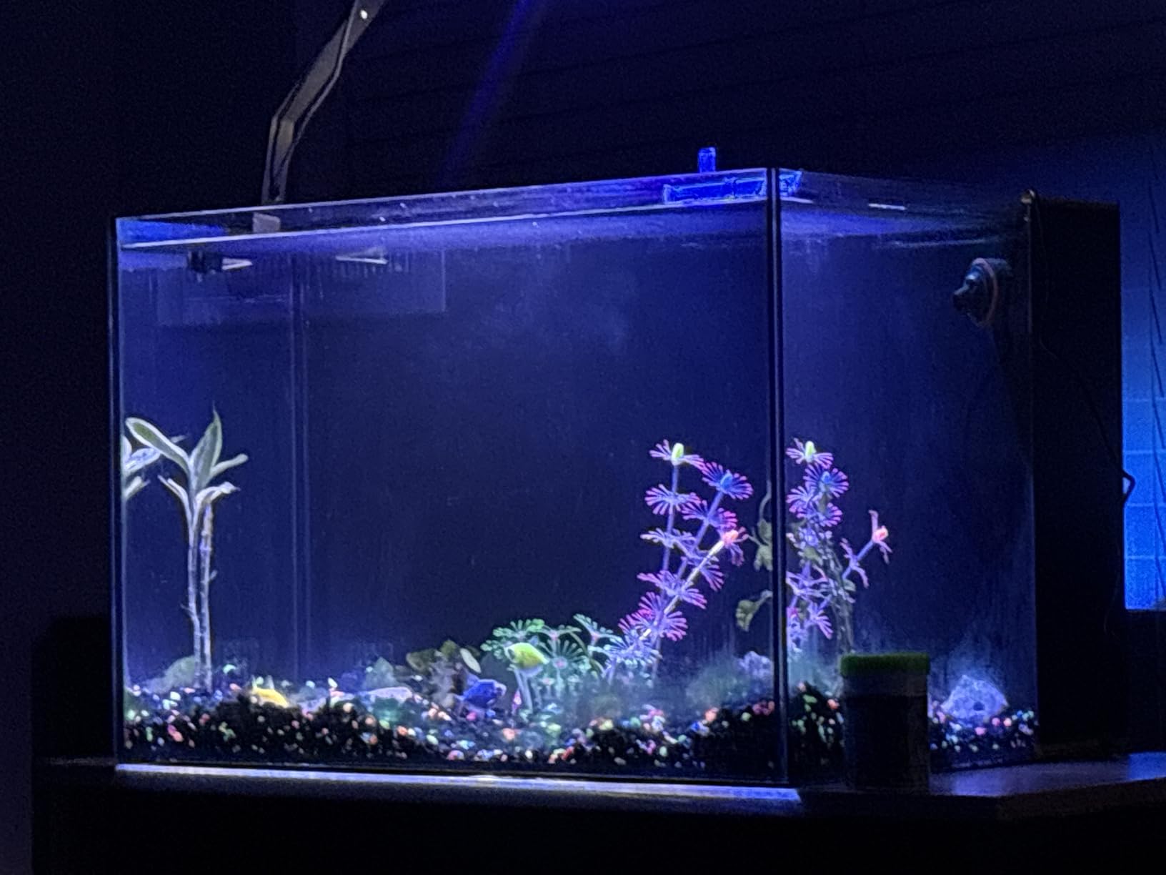 LANDEN EzFlux 60 Rimless 26 Gallon Rear Filtration Tank, Pump Included customer photo 2