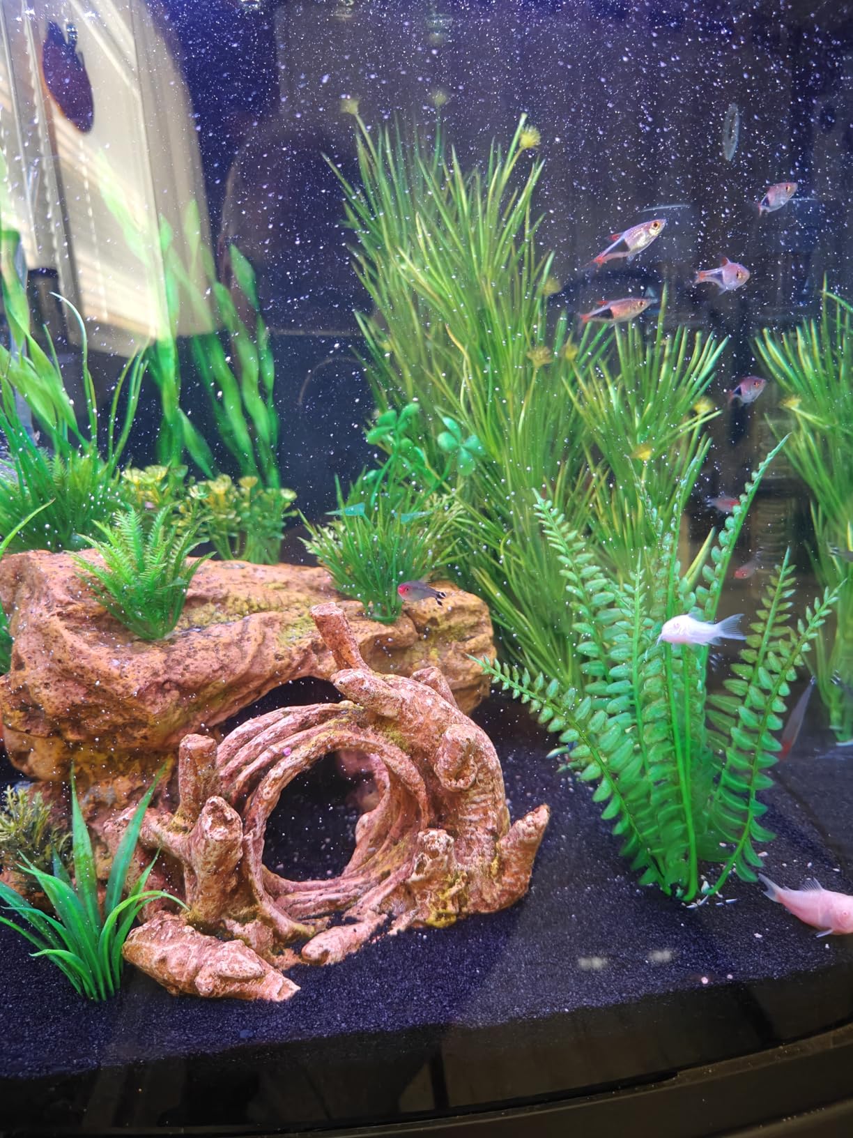 Coralife LED Biocube Aquarium Starter Kit, 16 Gallon Tank for Beginners customer photo 2