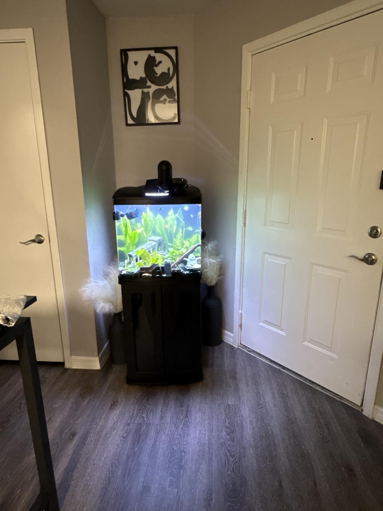 Coralife BioCube, Aquarium Kit, Integrated 24-hour Timer, Customizable LED Lighting, for Saltwater and Freshwater Environments, 32 Gallon customer photo 1