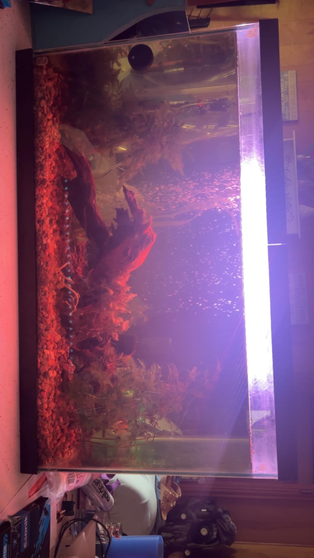 15 inches LED Aquarium Light, 2.5W Fish Tank Light Underwater Light Submersible Crystal Glass Lights, 21 LED Beads 12 Colors 19 Modes Brightness Adjustable Memory Function IP68 Waterproof customer photo 2