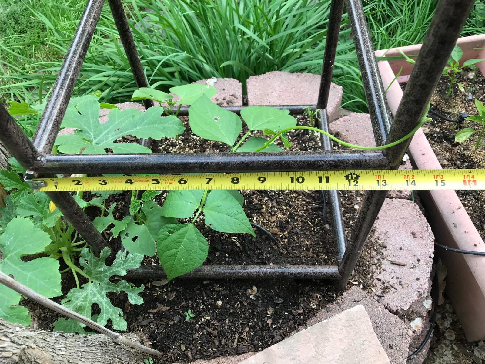 H Potter 8.5 Foot Iron Garden Obelisk Trellis | Heavy-Duty Ornamental Metal Landscape Hardscape for Climbing Plants | Large Handcrafted Vertical Yard Art - Model GAR470L customer photo 2