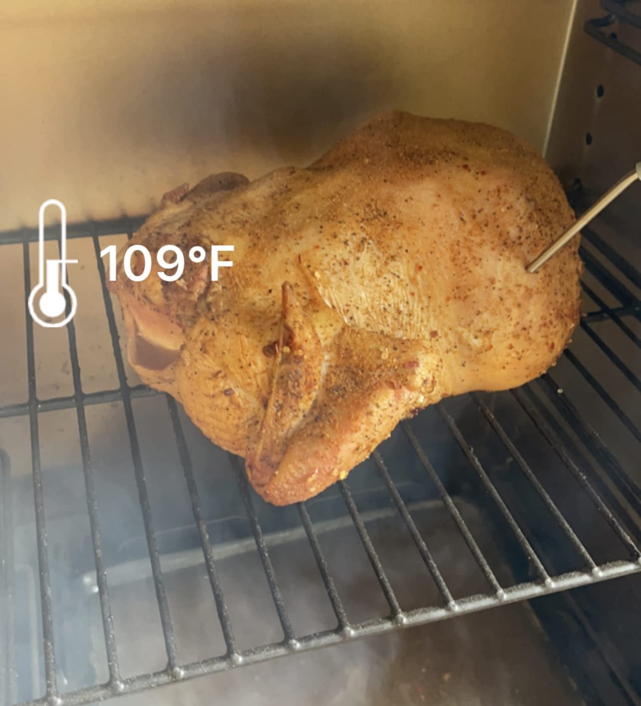 PIT BOSS PBV3P1 Vertical Pellet Smoker, Copper customer photo 2