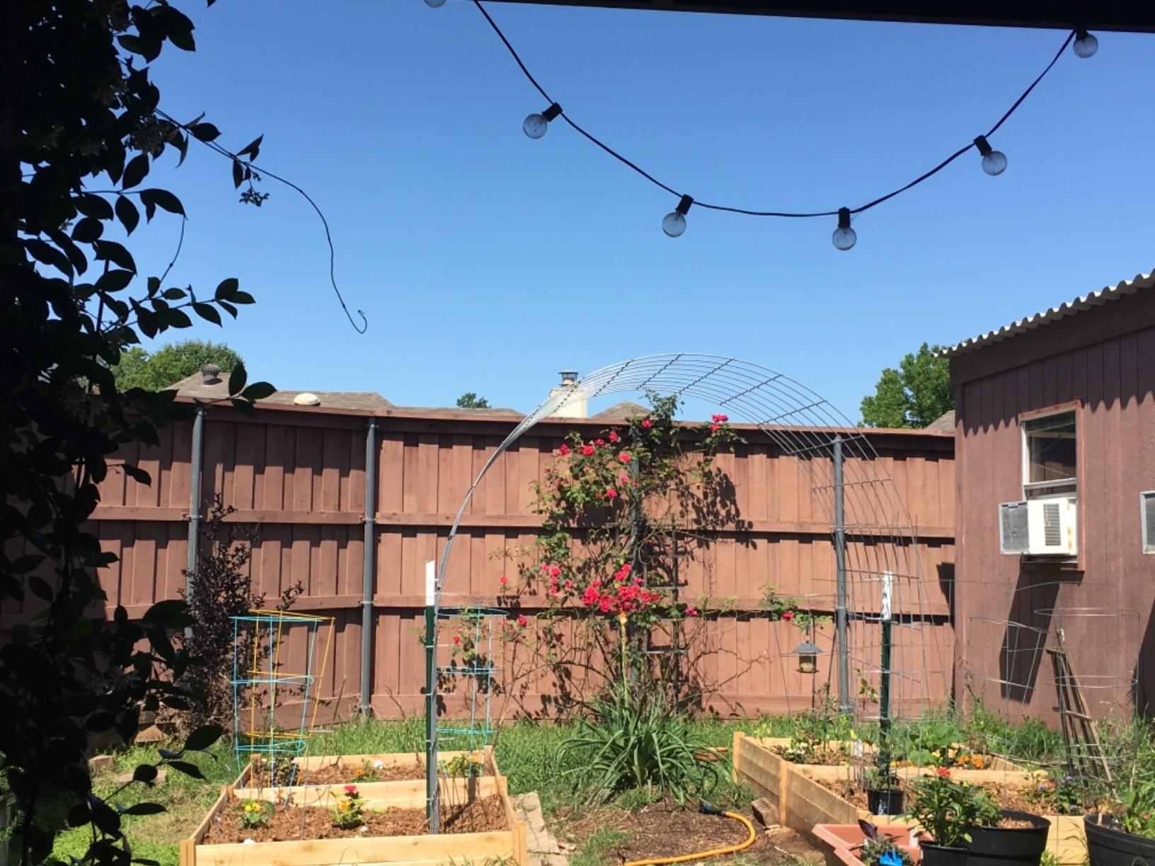 Greenes Fence Classic Cedar Raised Garden Bed, 2' x 8' x 10.5