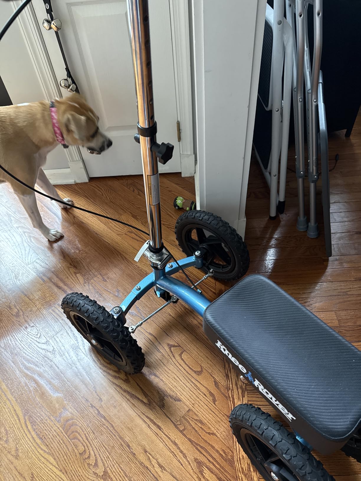 KneeRover Quad All Terrain Knee Scooter for Adults, Metallic Blue customer photo 2