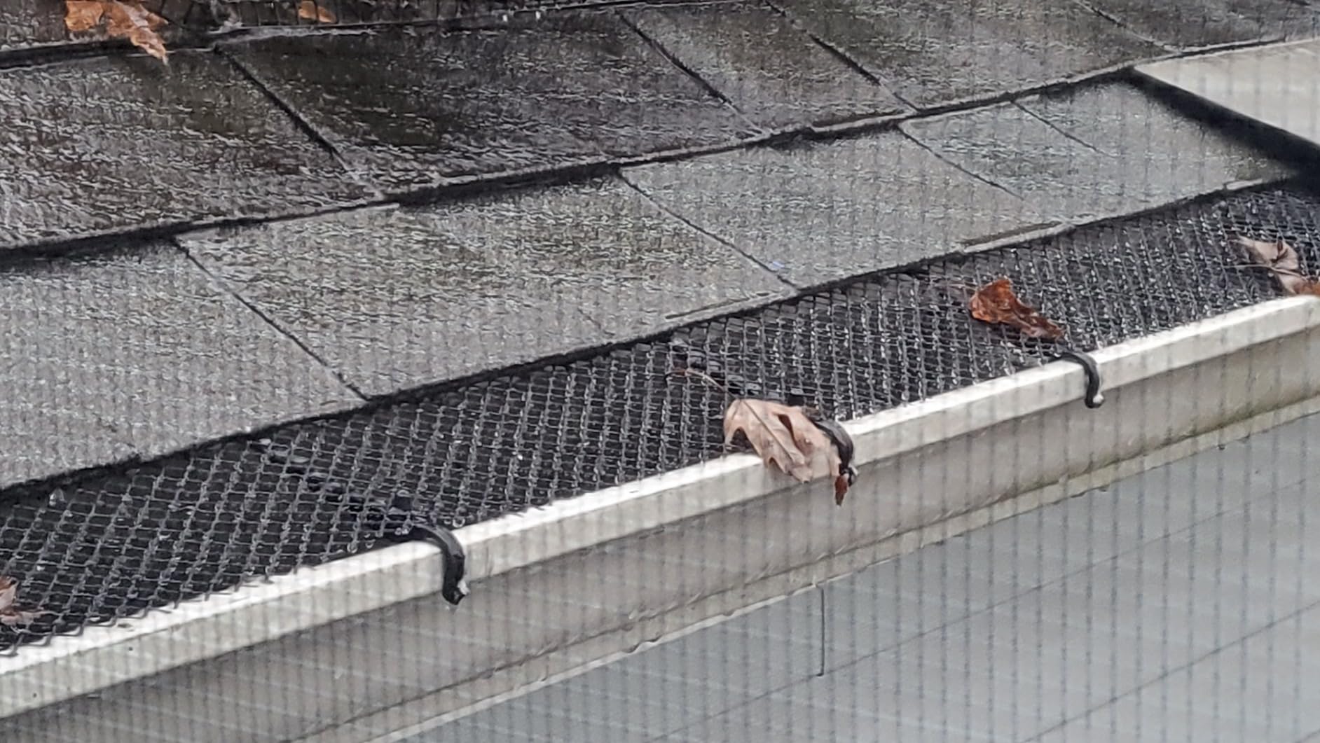 Home Intuition 2-Pack Leader and Gutter Guard from Leaves, Twigs, Branches Plastic Mesh Guards Leaf Protector 6