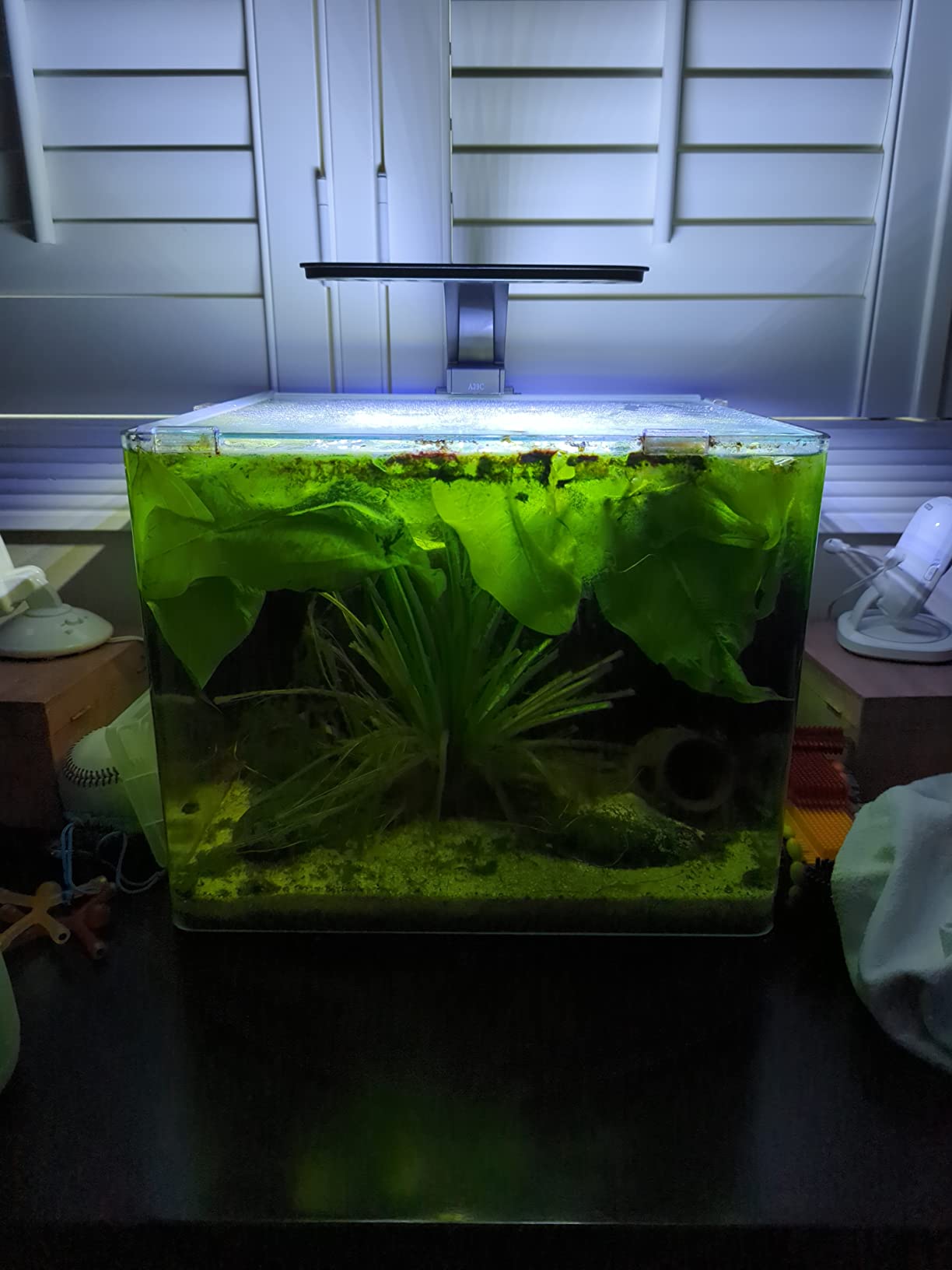 Aqueon Clip-On LED Fish Tank Light for Planted Aquariums, Up to 20 Gal customer photo 1