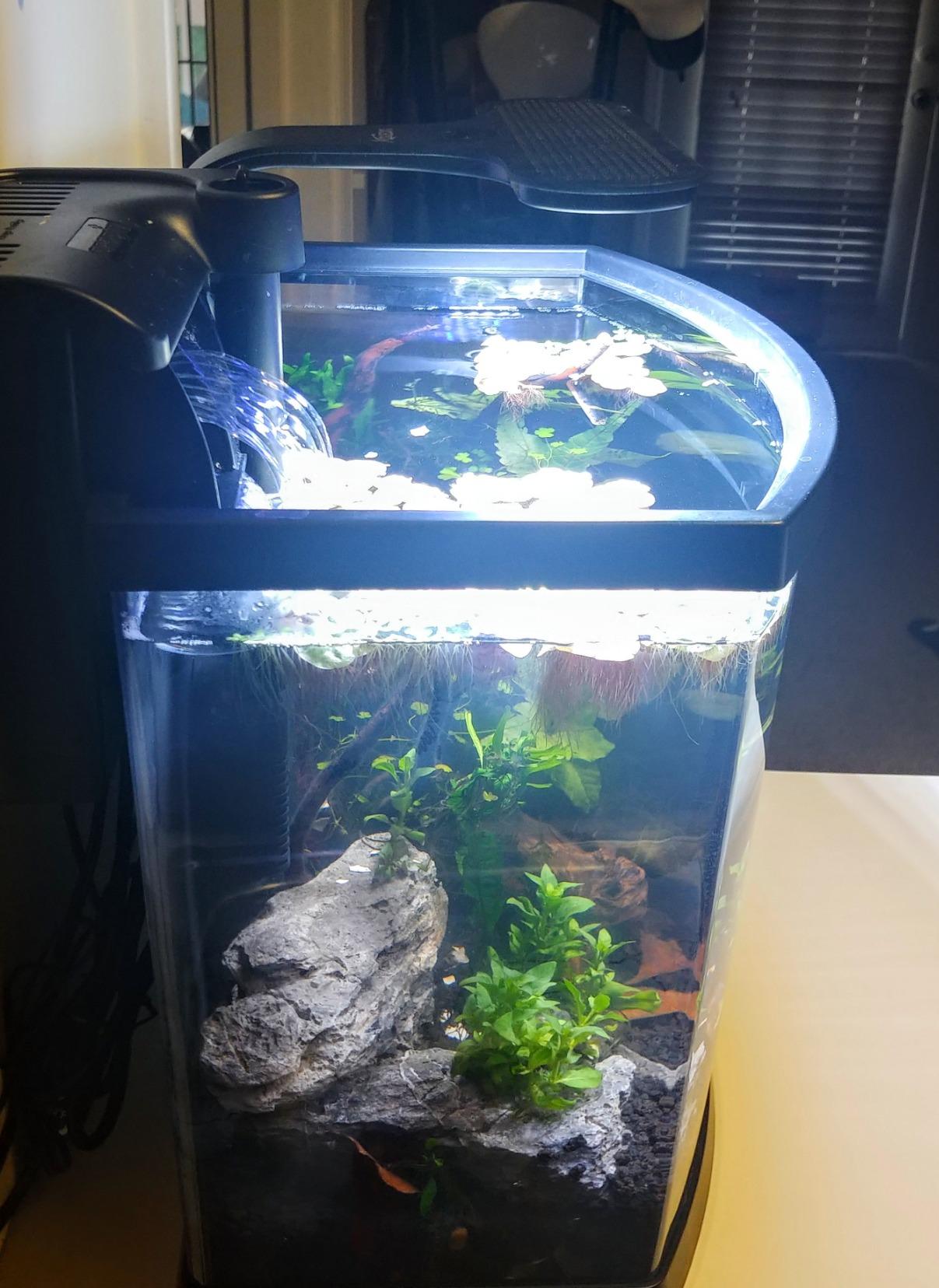 Aqueon Clip-On LED Fish Tank Light for Planted Aquariums, Up to 20 Gal customer photo 2