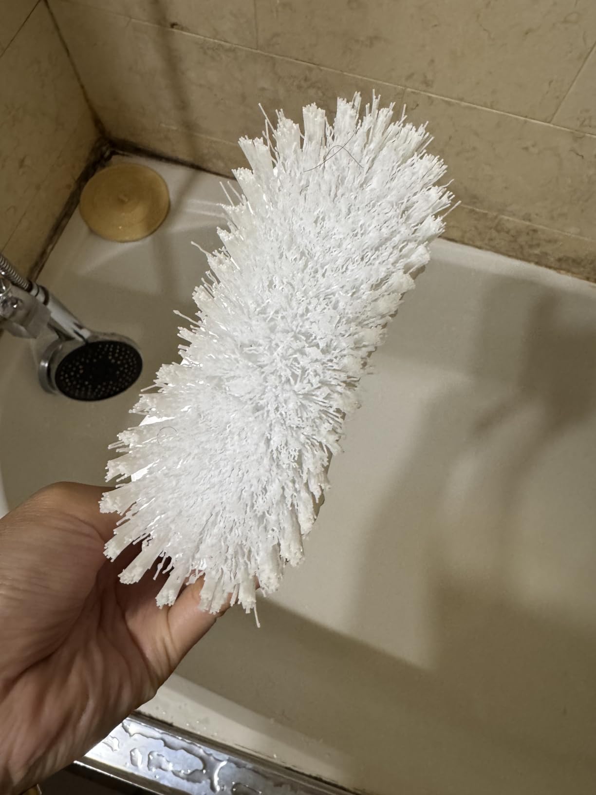 Amazer Scrub Brush for Cleaning Comfort Grip Shower Scrubber Stiff Bristles with Handle Heavy Duty Cleaner Brush for Tub Sink Carpet Floor - Pack of 2 (Green+Green) customer photo 2