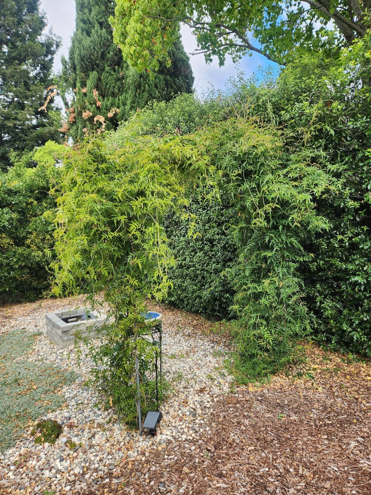 kinbor Garden Arches Arbor, Outdoor Black Metal Arbor, Wedding Archway customer photo 1
