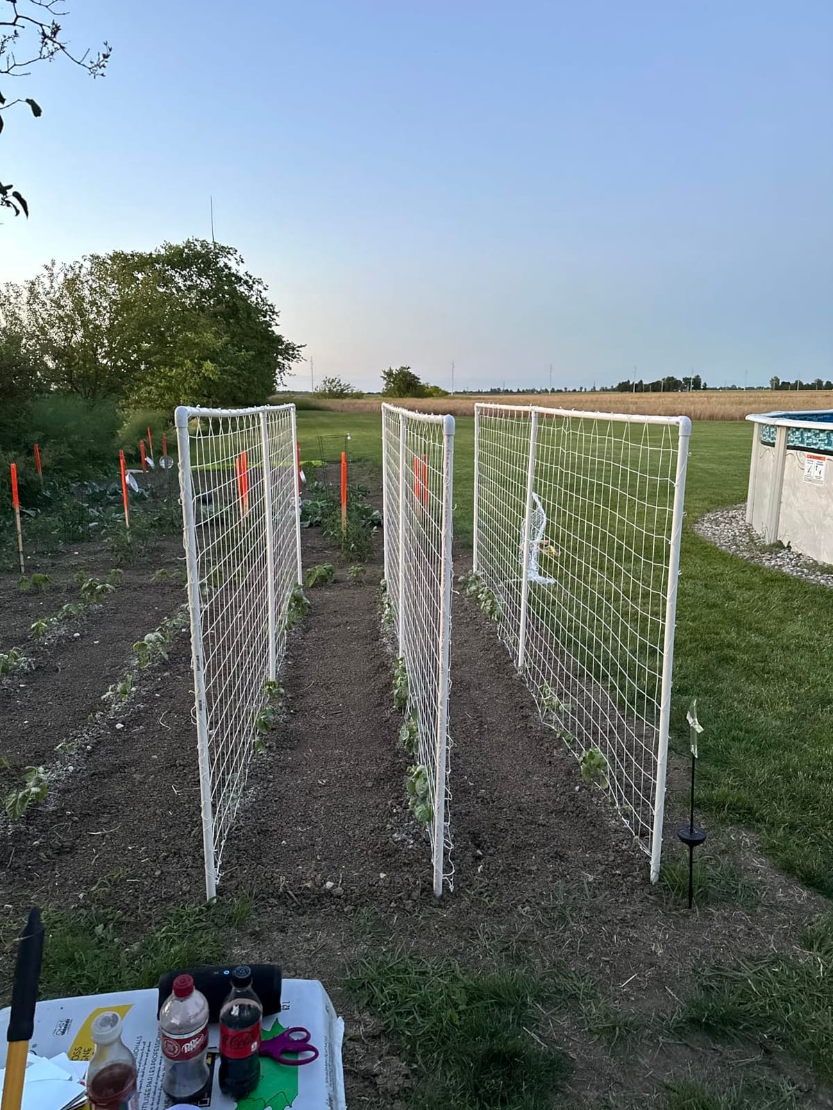 BaseGoal 3.5in Mesh Trellis Netting, 5x15ft, 1 Pack customer photo 1
